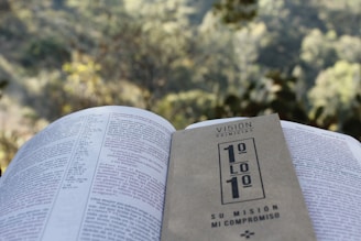 An open book is displayed with a booklet placed on top of it, set against a backdrop of blurred green foliage. The booklet features the words 'VISION PRIMICIAS' and a numerical design. The layout emphasizes a peaceful outdoor setting, hinting at a reading experience in nature.