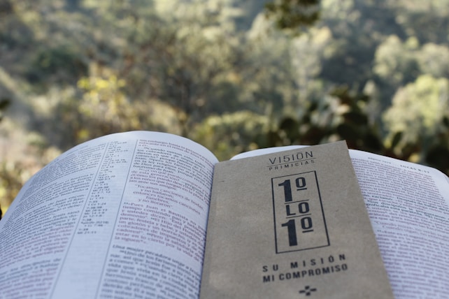 An open book is displayed with a booklet placed on top of it, set against a backdrop of blurred green foliage. The booklet features the words 'VISION PRIMICIAS' and a numerical design. The layout emphasizes a peaceful outdoor setting, hinting at a reading experience in nature.