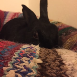 Close-up of a soft pastel crochet bunny nestled in a cozy knitted blanket.