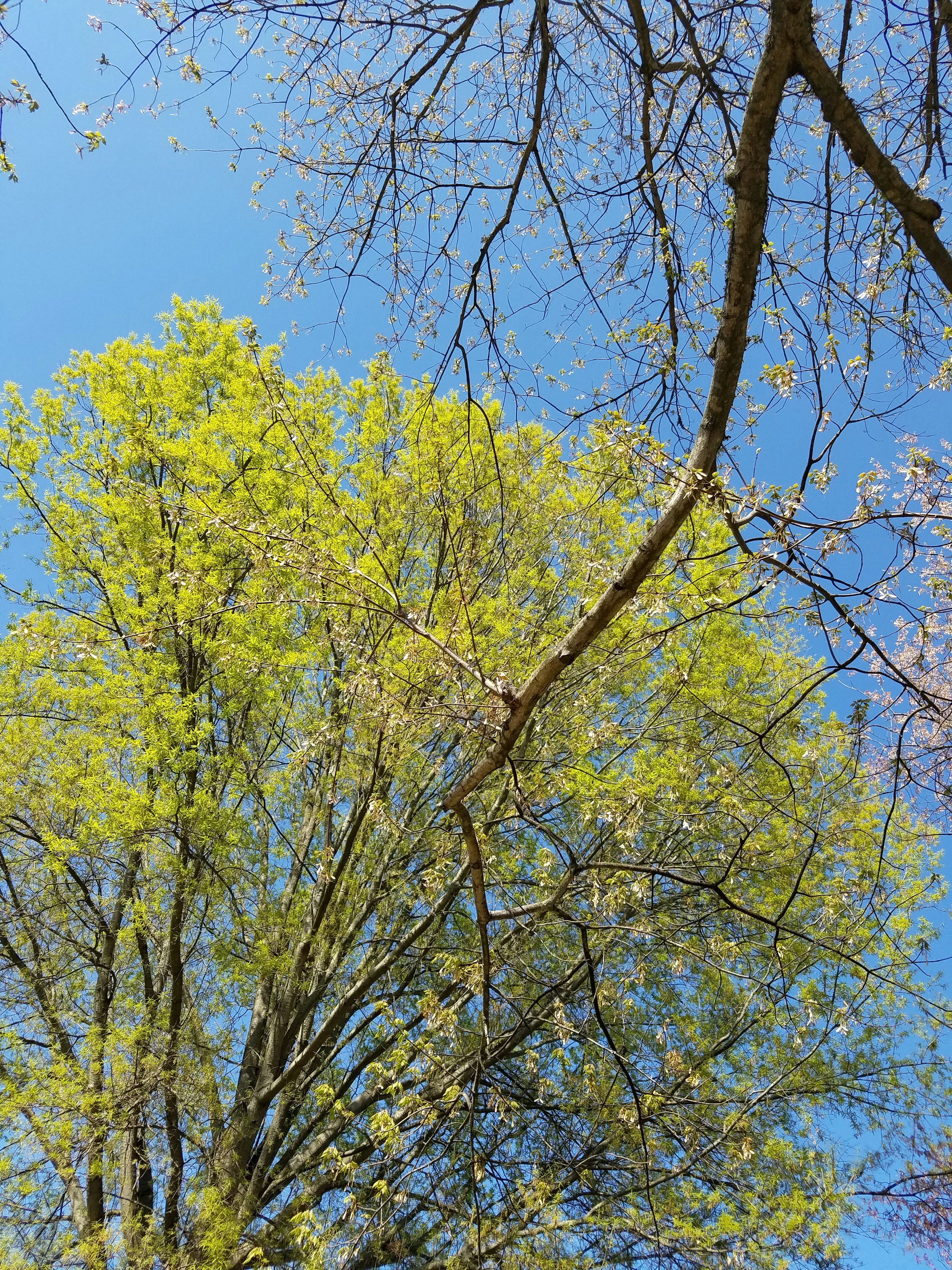 Free Unsplash photo from LORISA GRIFFITH