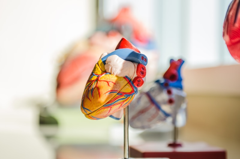 Cardiovascular