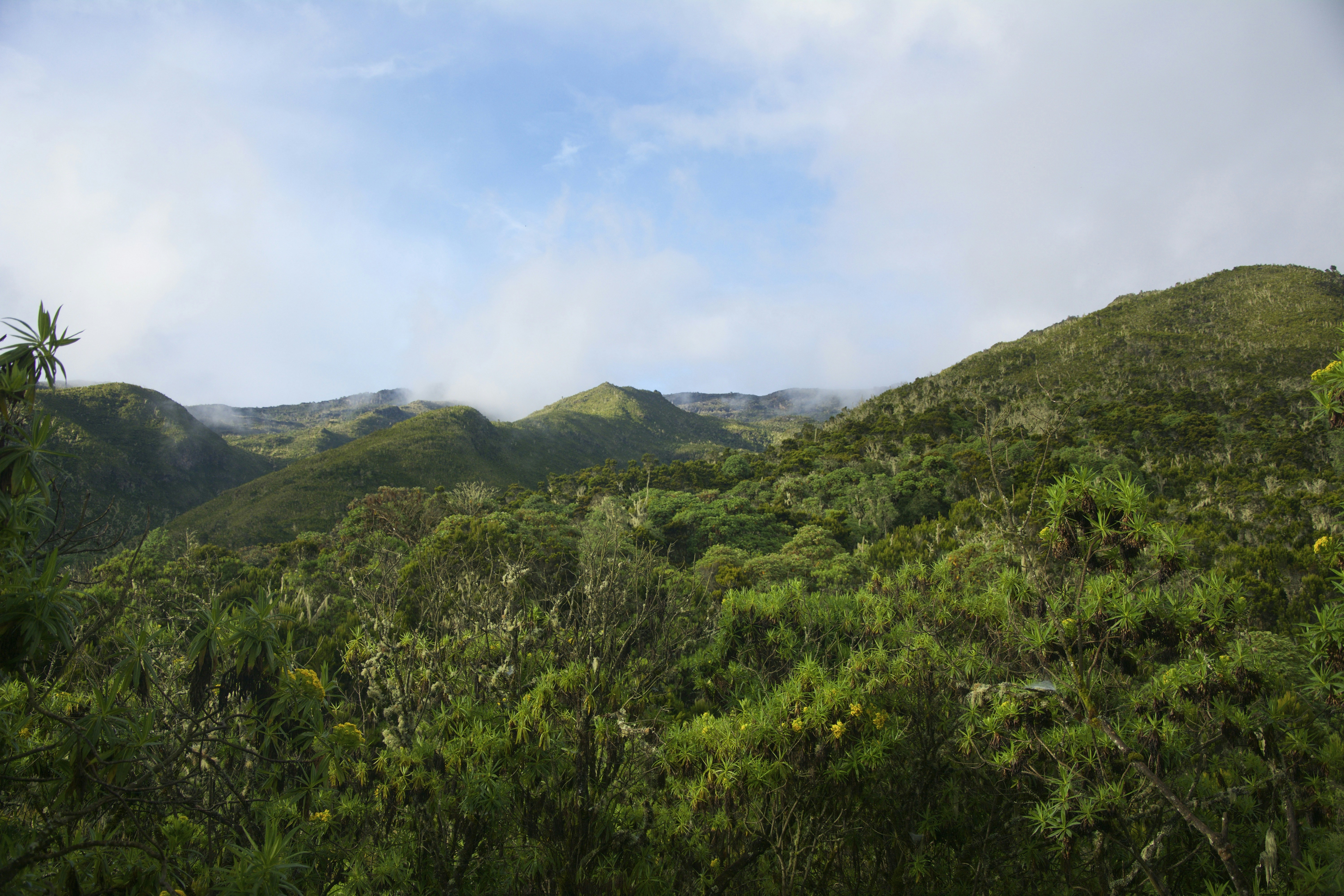 Free Unsplash photo from Joel Peel