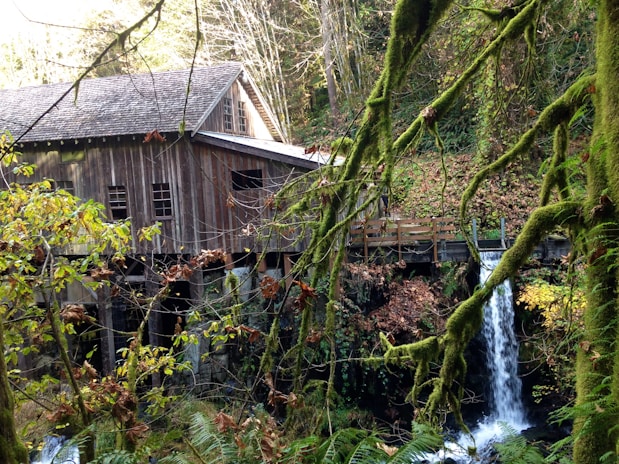 A charming rustic mill surrounded by lush greenery under a soft afternoon light.