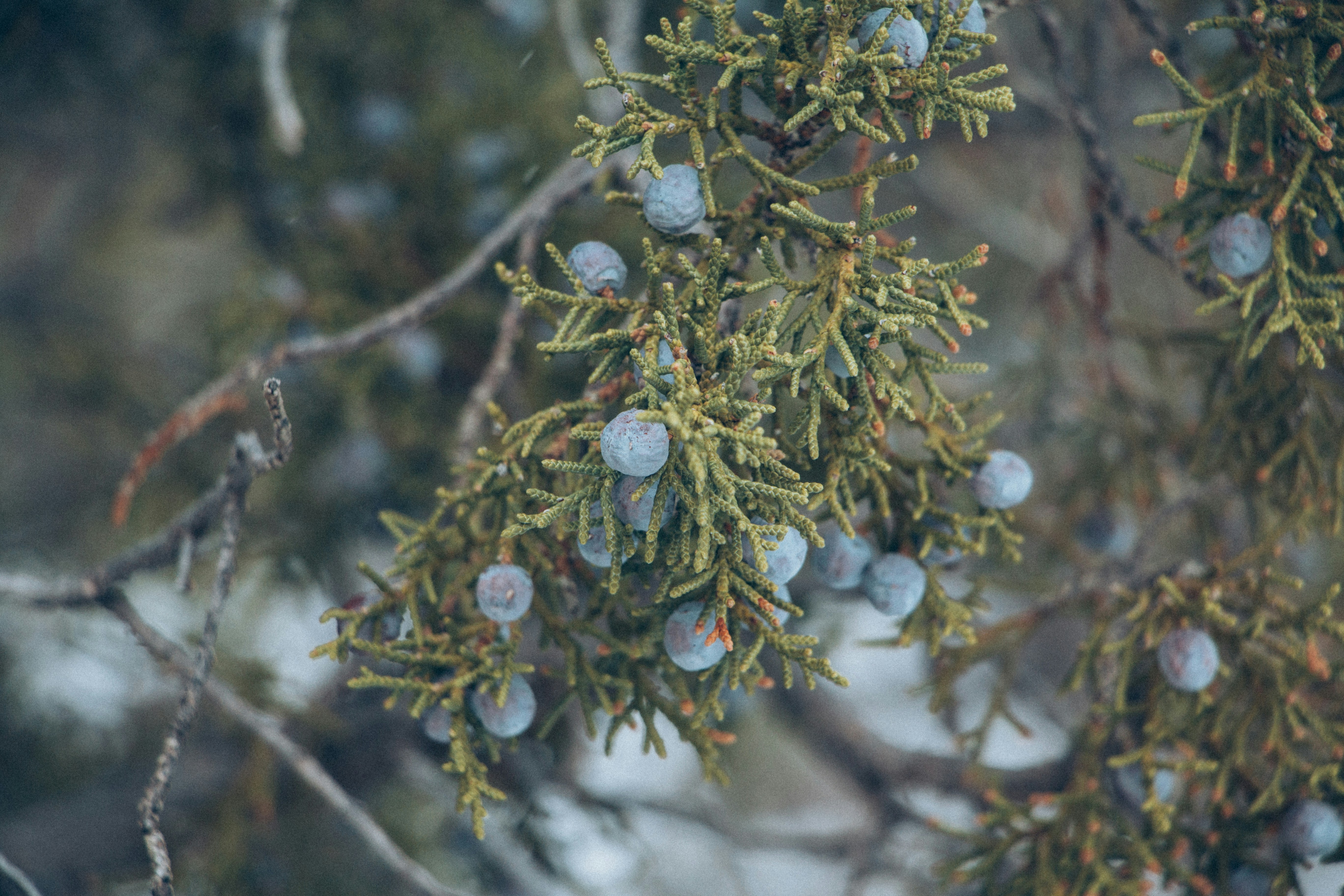 Free Unsplash photo from Vadim Boyko