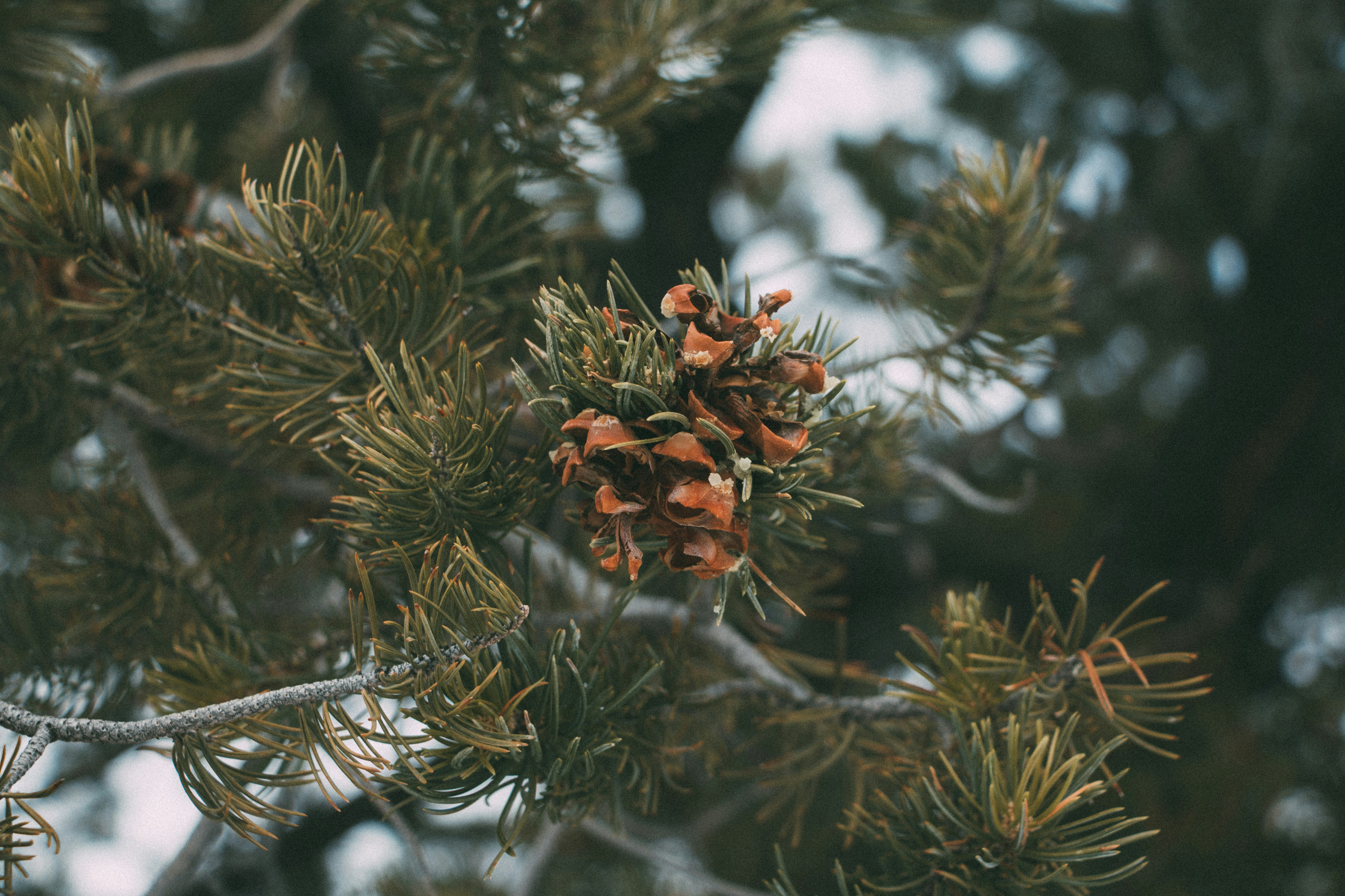 Free Unsplash photo from Vadim Boyko