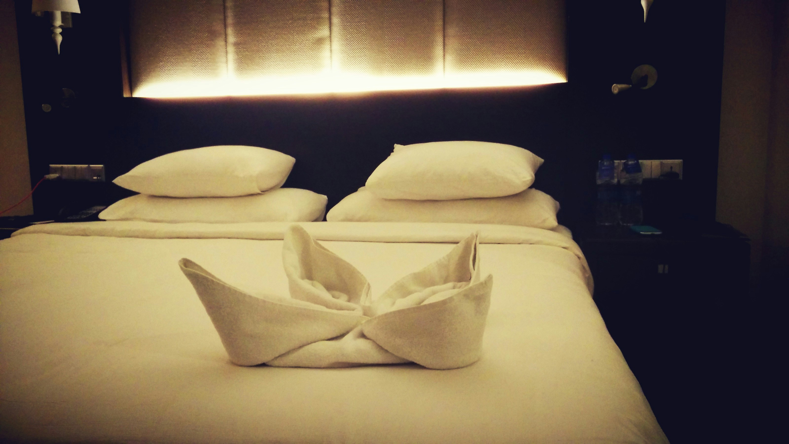 Free Unsplash photo from Riyaz Hyder