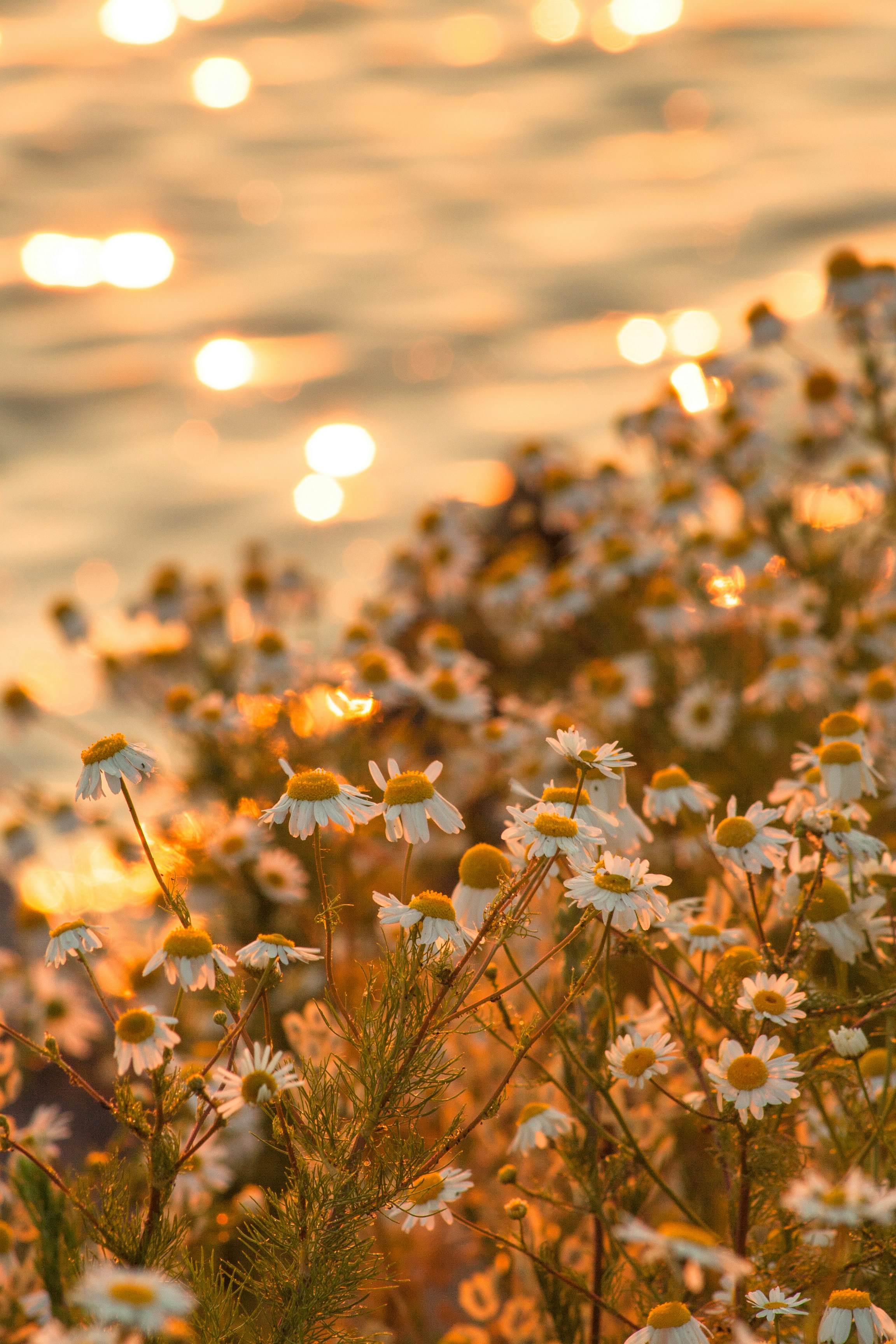 Free Unsplash photo from Juha Lakaniemi