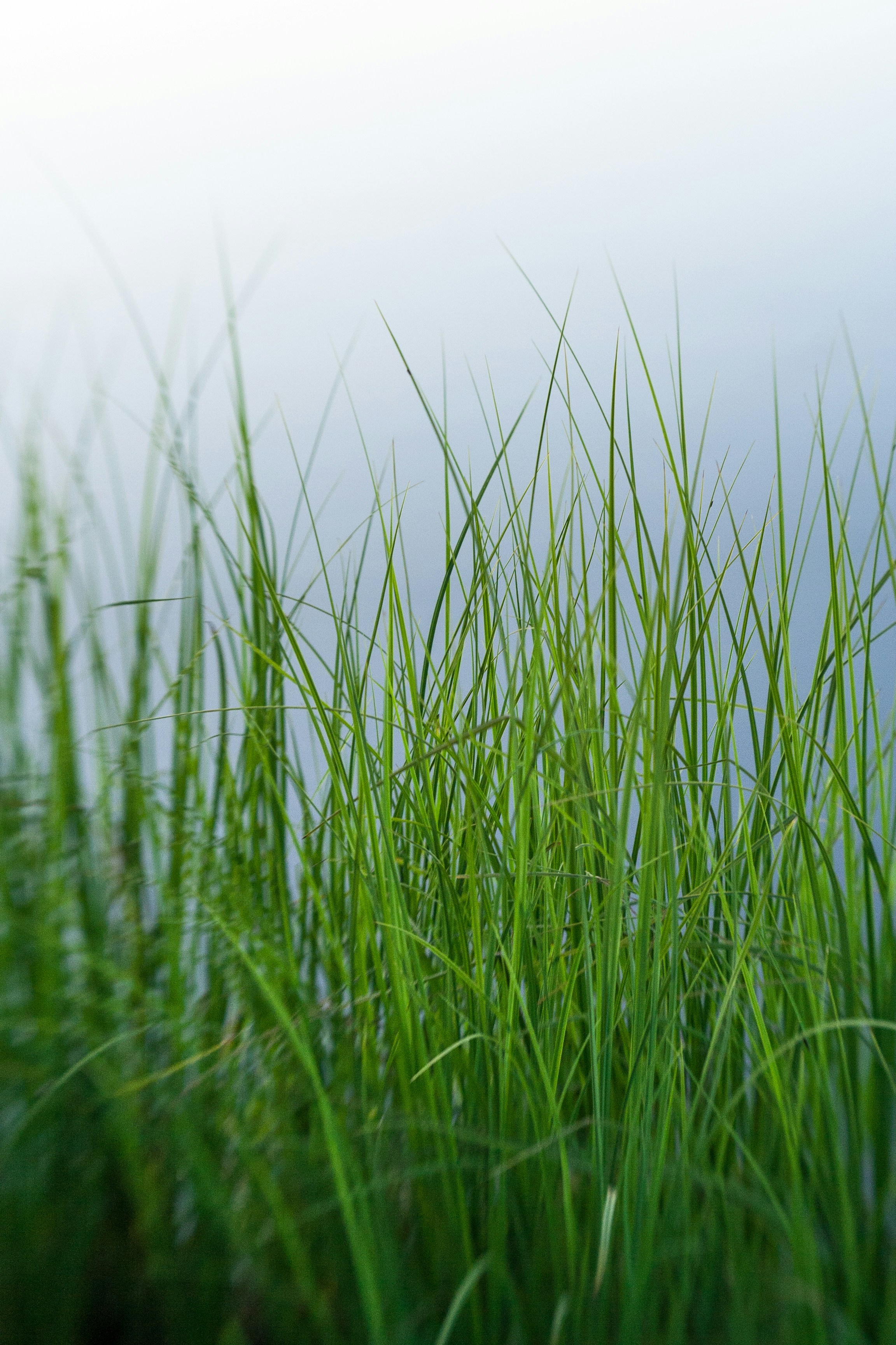 Free Unsplash photo from Juha Lakaniemi