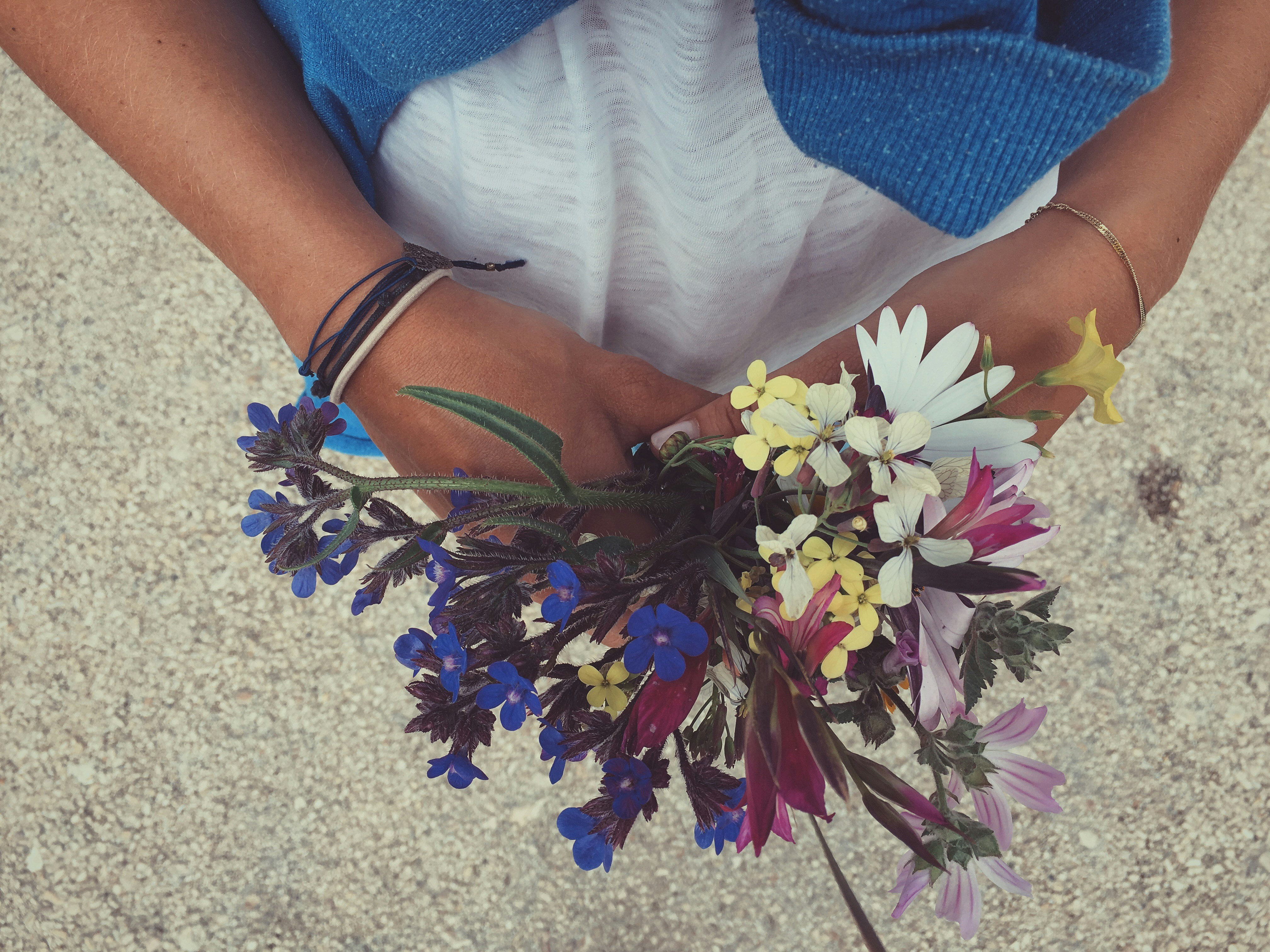 Free Unsplash photo from Diana