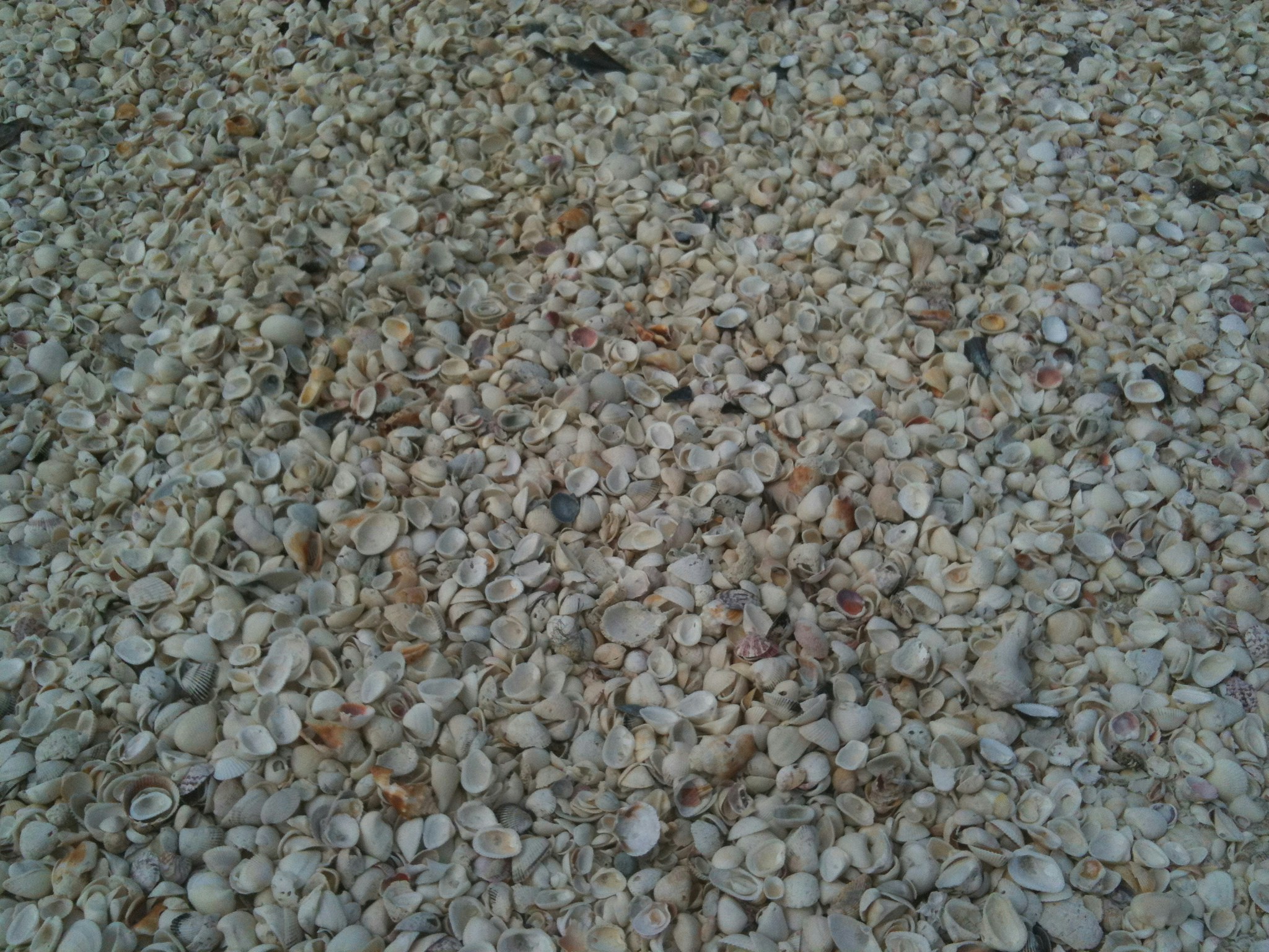 Free Unsplash photo from Alli Glorioso