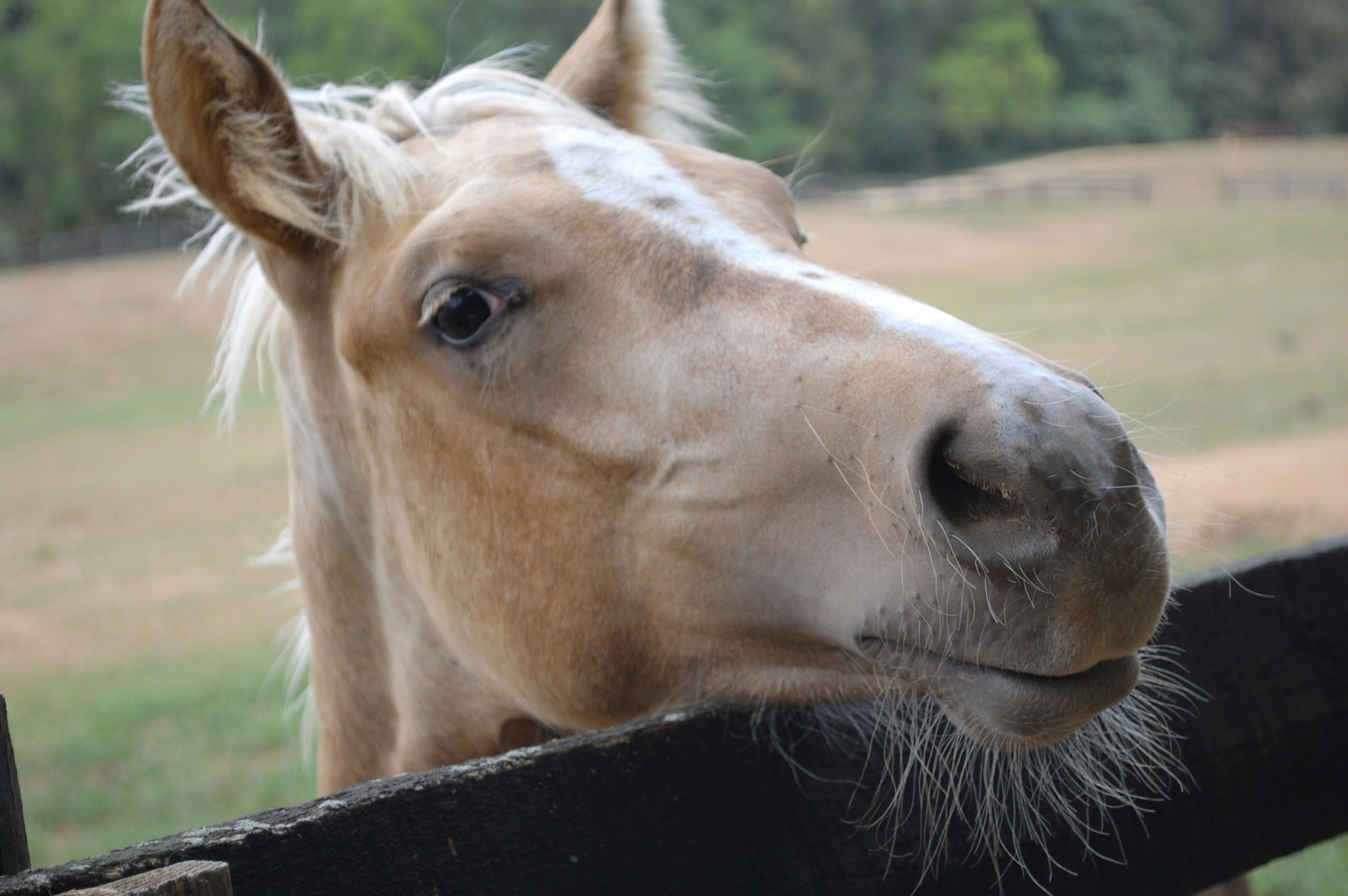 Free Unsplash photo from Alli Glorioso