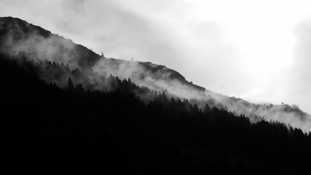 montagna coperta di neve