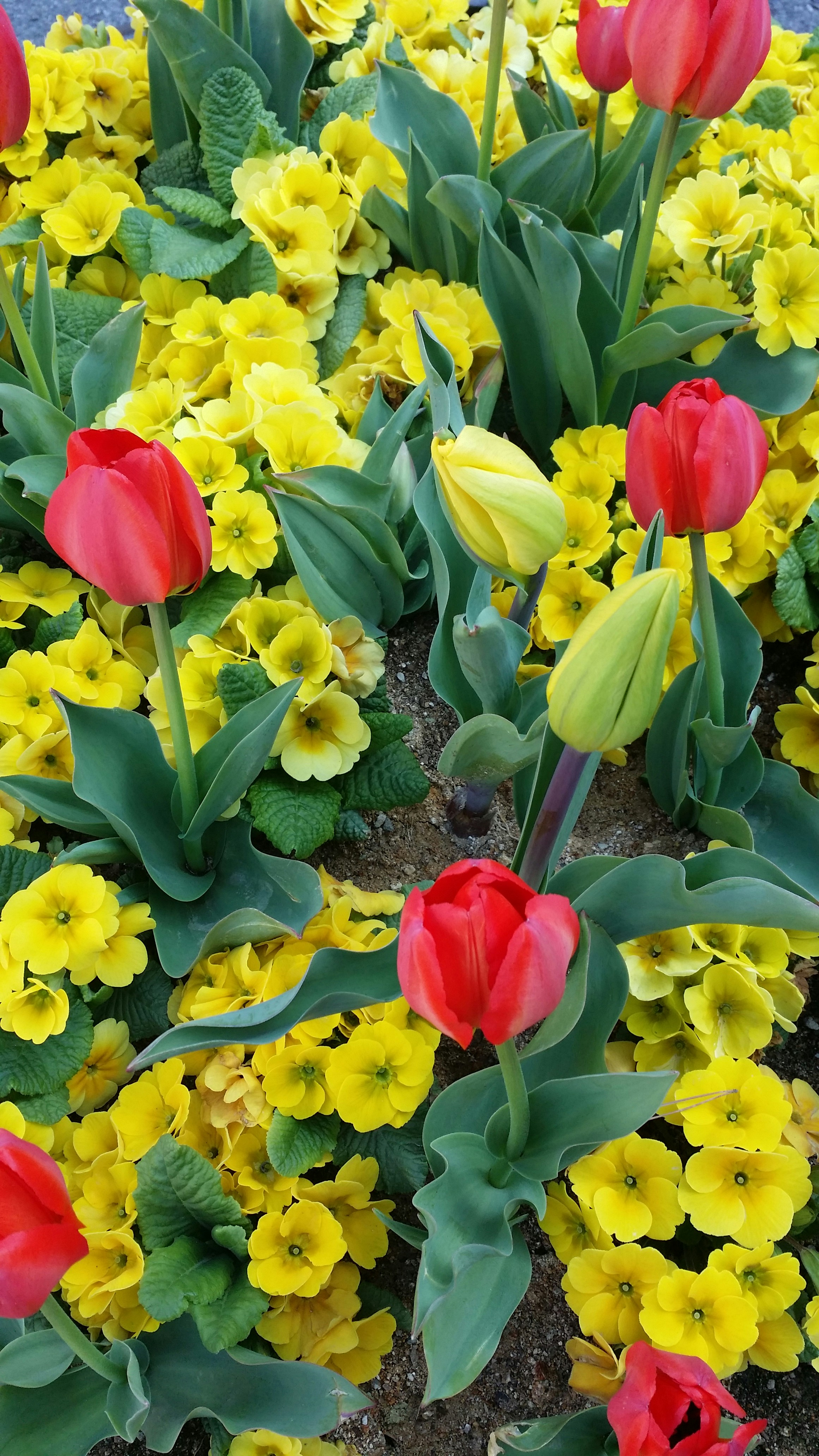 Free Unsplash photo from GH KIM