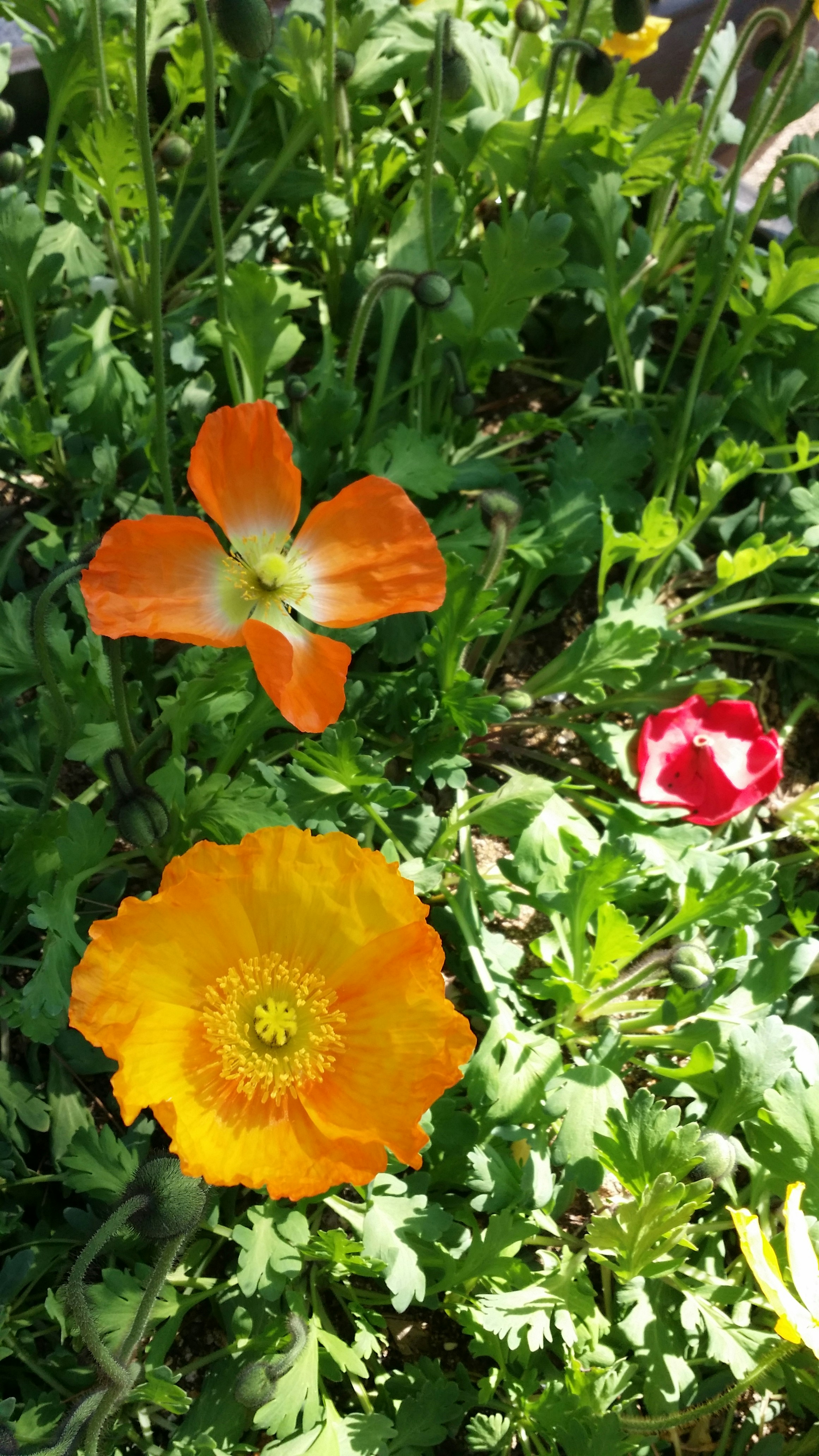 Free Unsplash photo from GH KIM