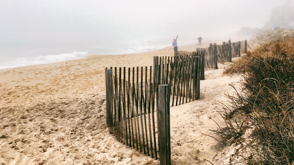 sand fence on misty beach with sea in background