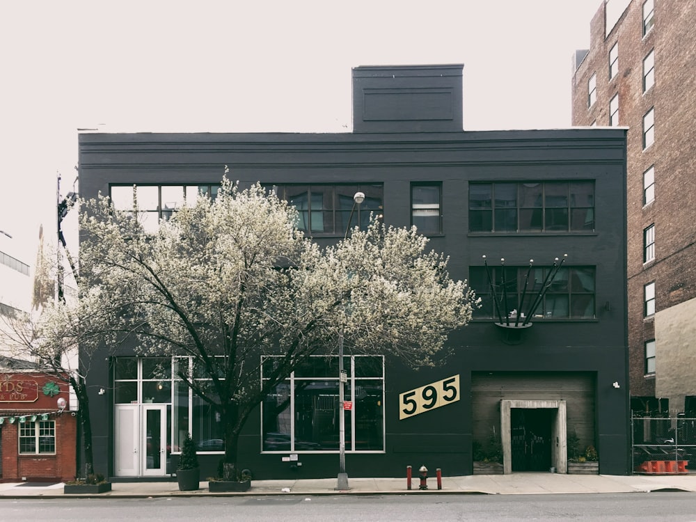 black building under white sky