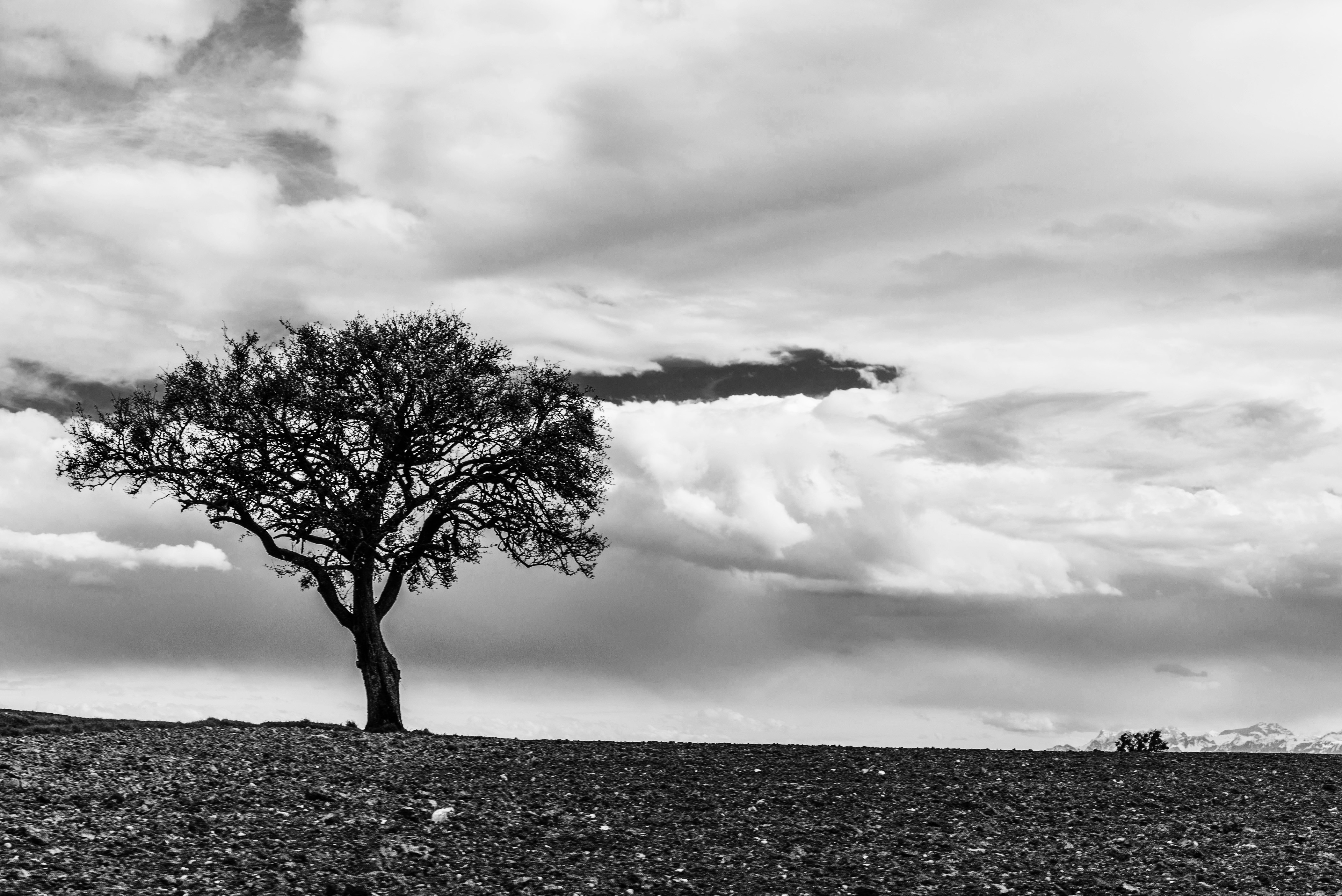 Free Unsplash photo from Magicphil Montes