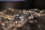 Crumpled silver foil with intricate patterns and reflections catches the light, creating a textured and shiny surface.