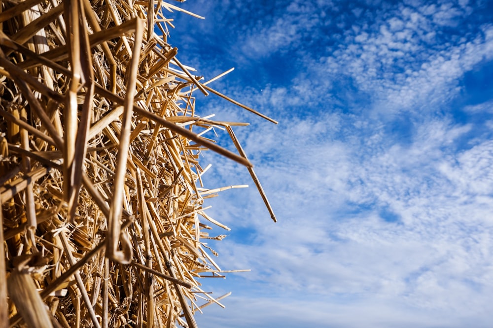 a large pile of straw sitting on top of a beach