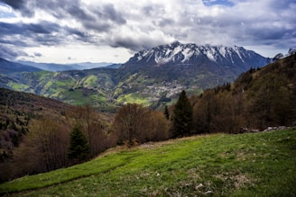 brown trees and snow covered mountain under cloudy sky