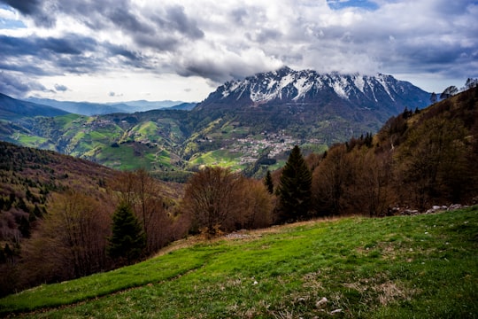 brown trees and snow covered mountain under cloudy sky in Oltre Il Colle Italy