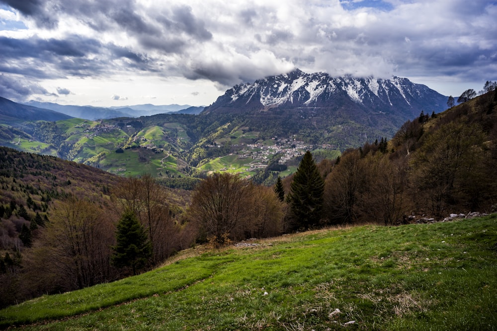 brown trees and snow covered mountain under cloudy sky