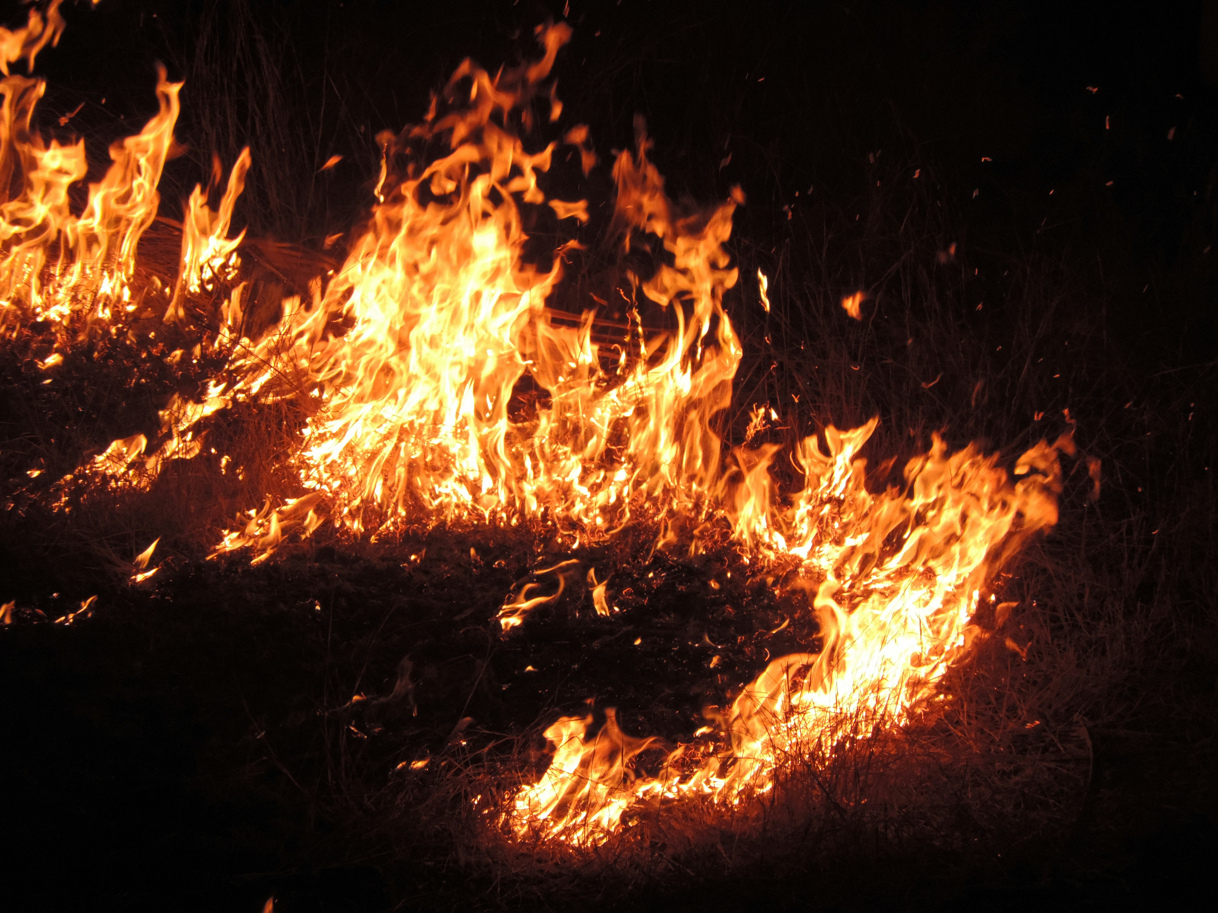 Free Unsplash photo from Melvin Prince