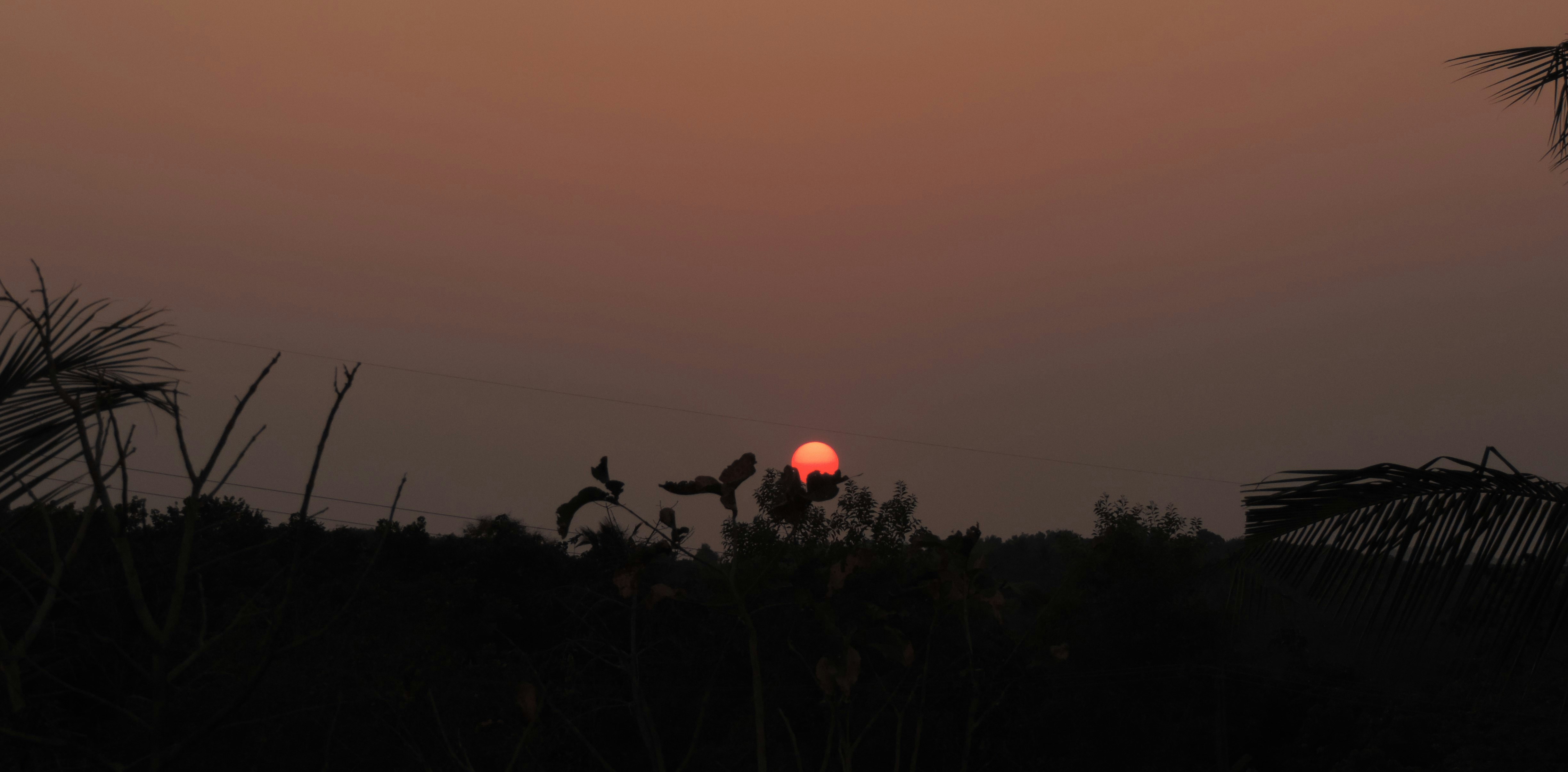 Free Unsplash photo from Melvin Prince