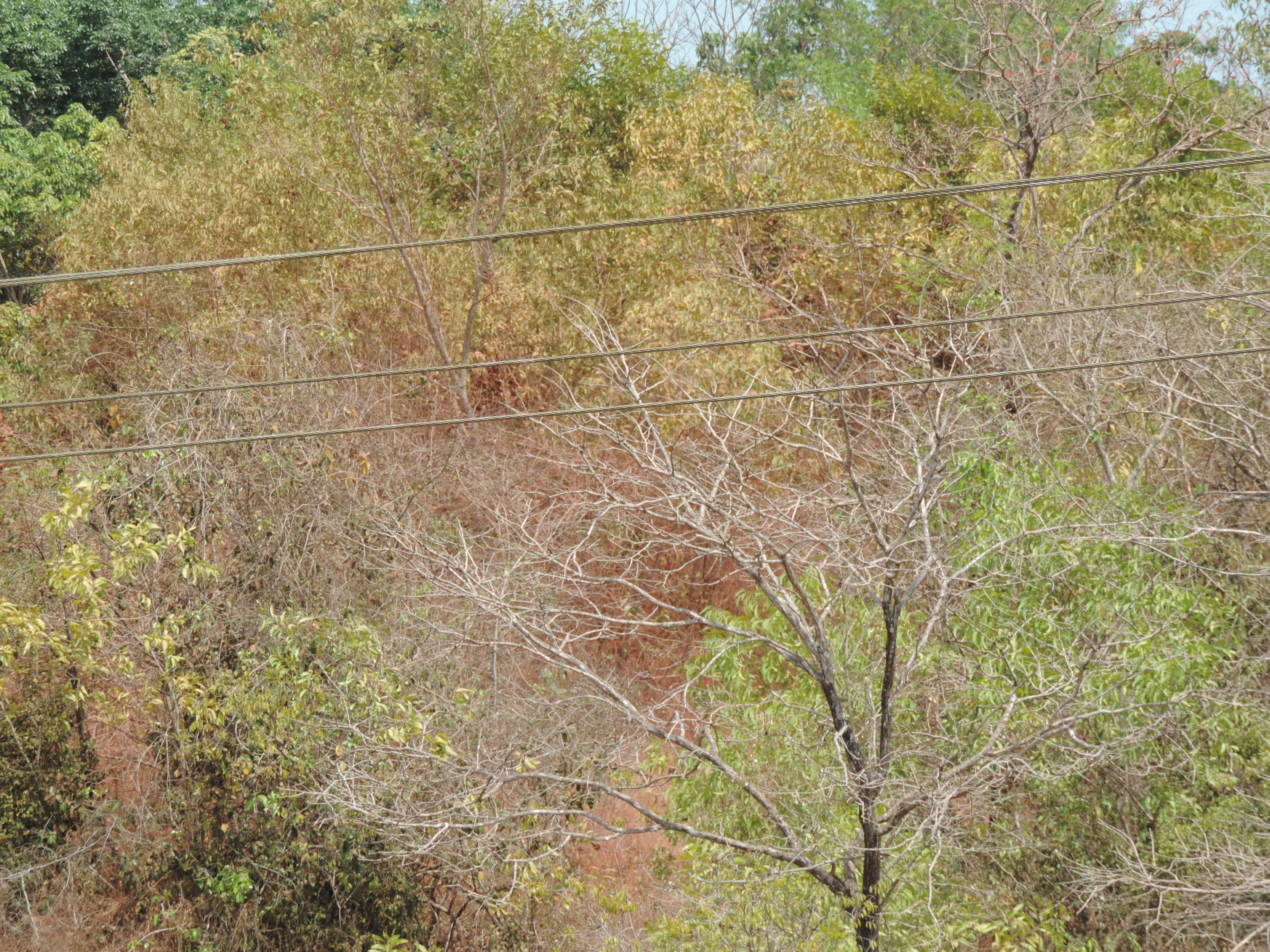 Free Unsplash photo from Melvin Prince