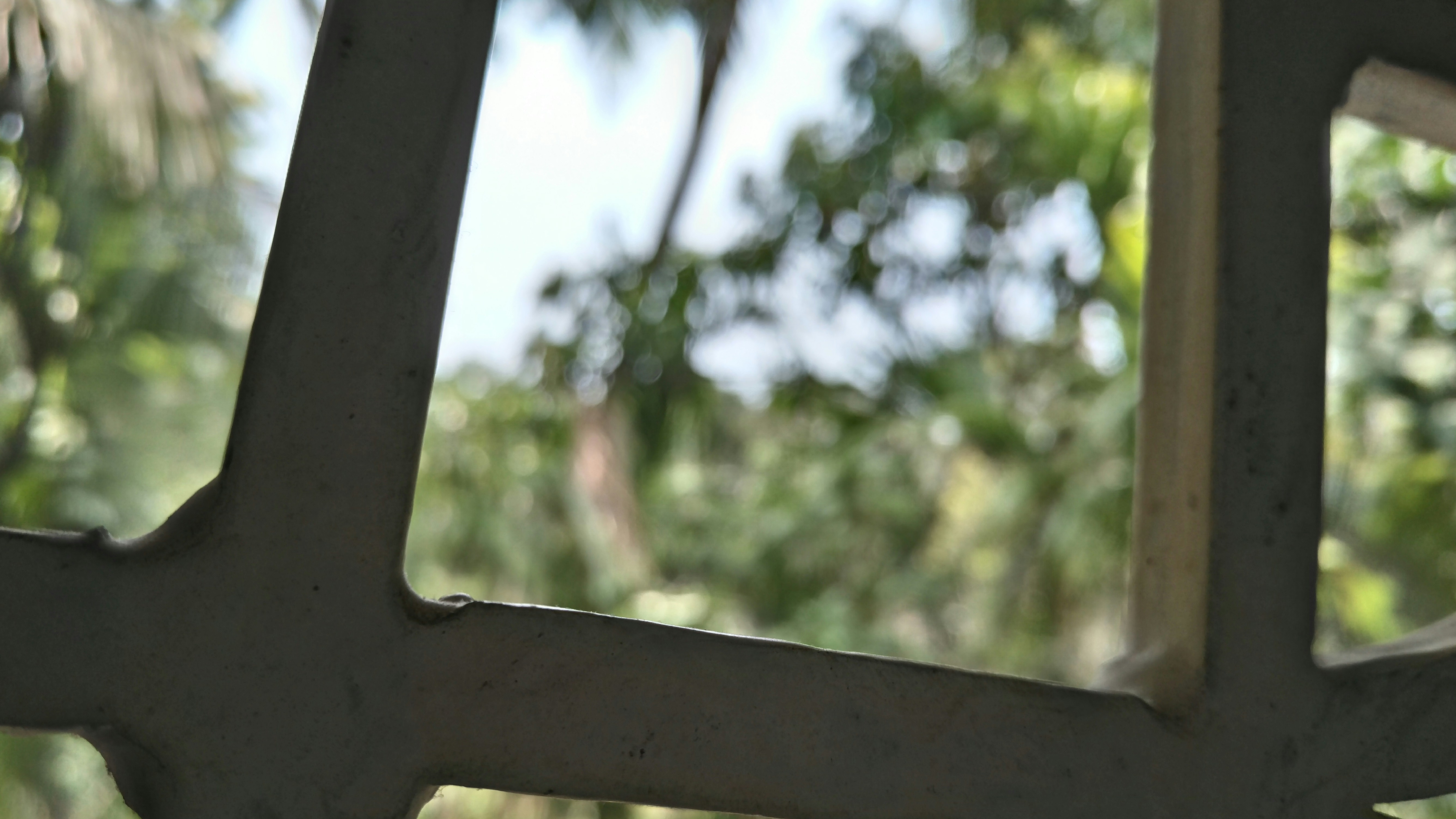 Free Unsplash photo from Deepak Nalledath