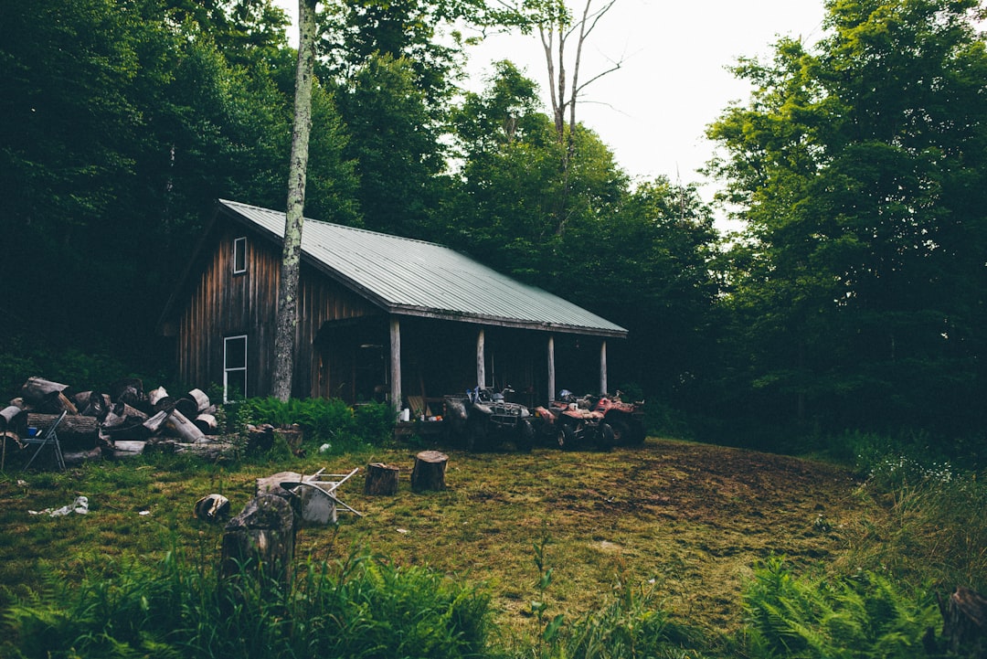 brown and grey house photography