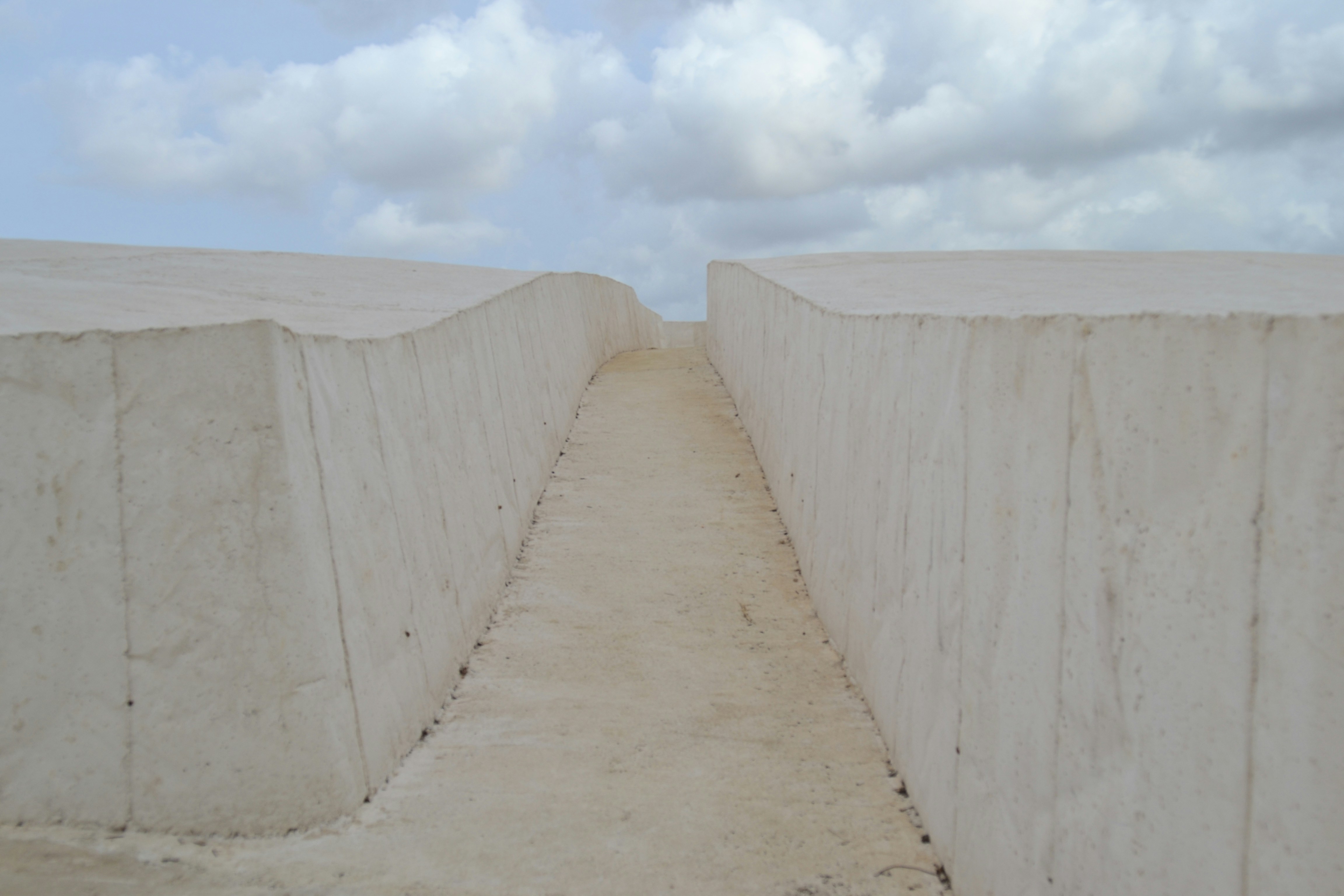 Free Unsplash photo from Laura Camellini