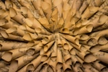 A close-up view of numerous rolled sheets of music paper arranged in a circular pattern, creating a textured and layered appearance. The paper is aged, with a yellowish tint and visible music notes and staffs printed on each sheet.