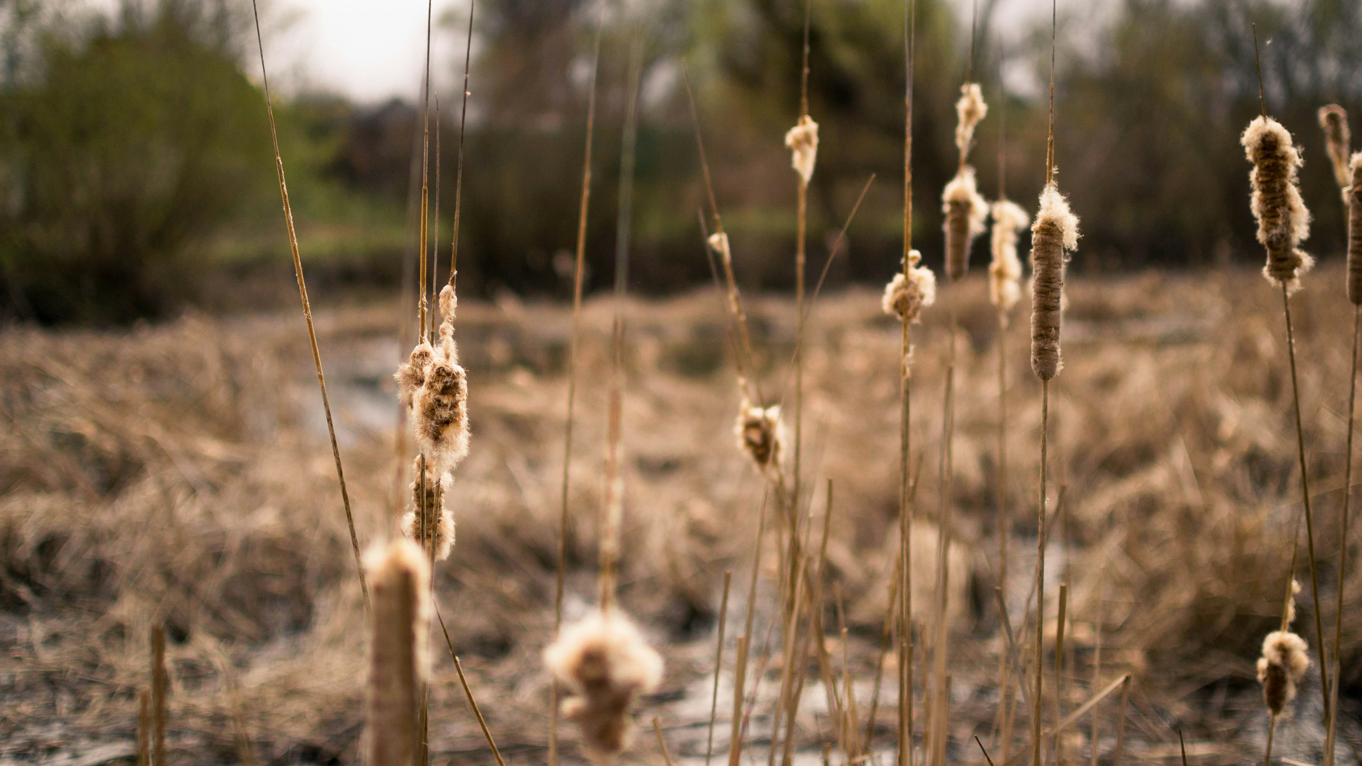 Free Unsplash photo from Andyone