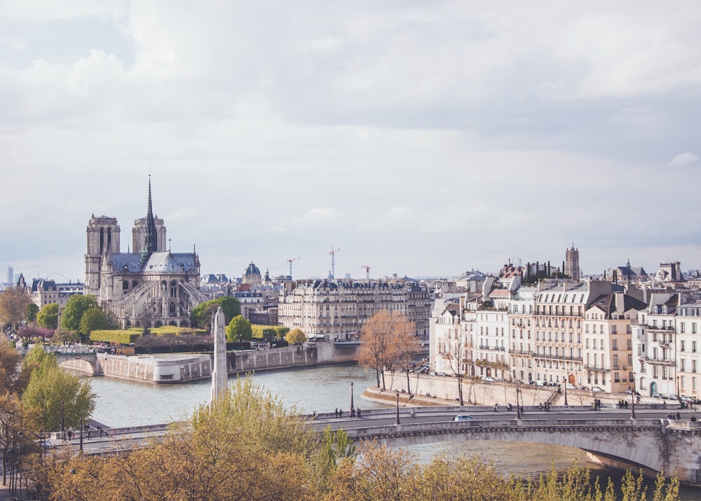 View of the back side of Notre Dame and the Seine River in Paris