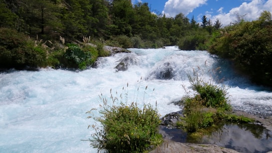 A lush, green landscape featuring a flowing river with rapids, surrounded by dense greenery and foliage. The sky is bright with a few clouds, enhancing the natural and serene environment.
