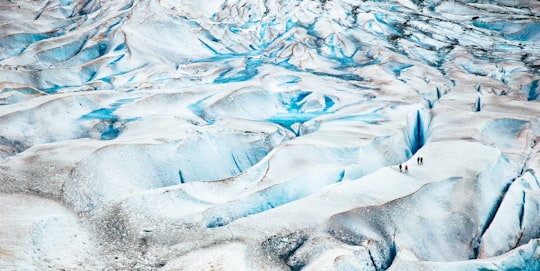 Mendenhall Glacier things to do in Juneau