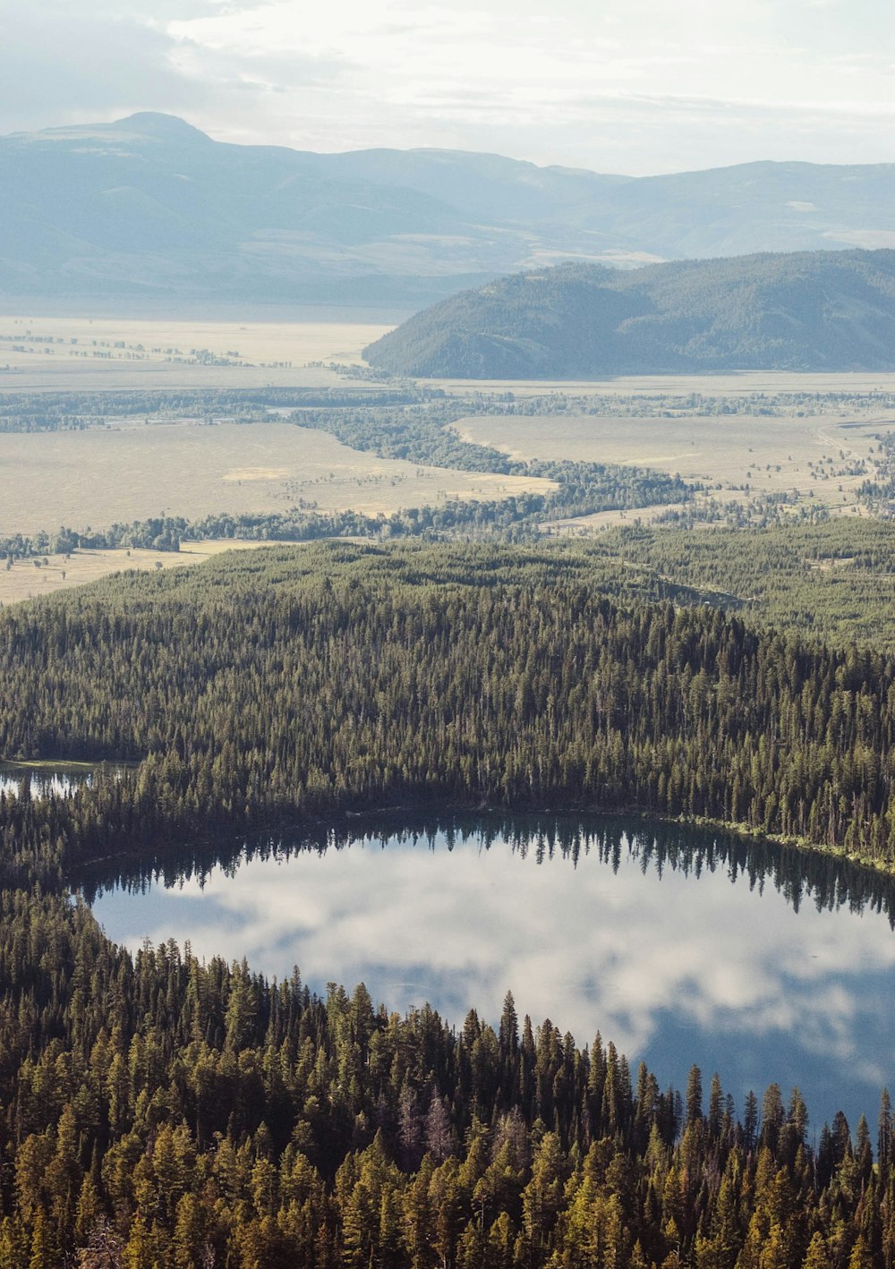 lago circondato da alberi ad alto fusto