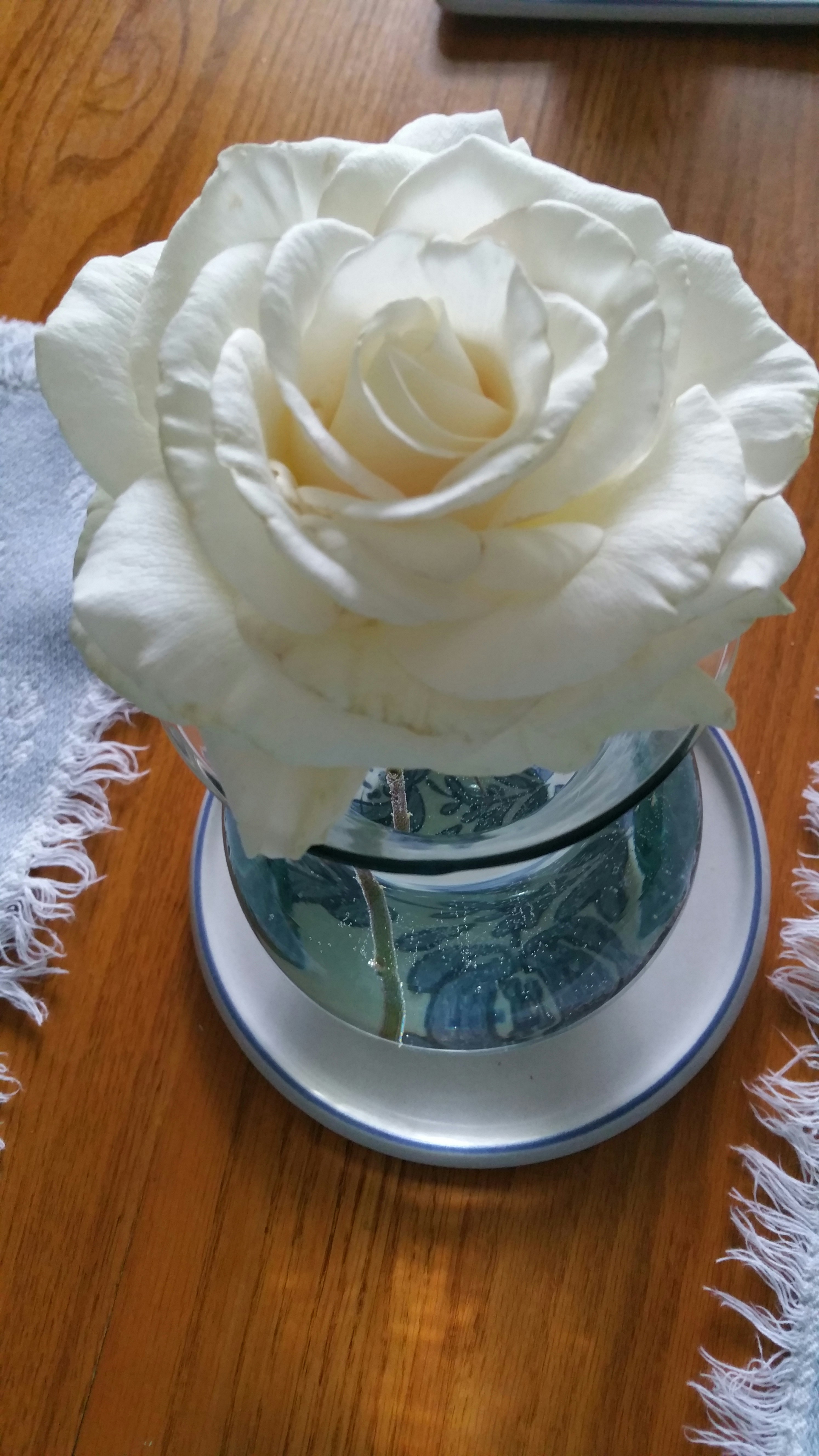 Free Unsplash photo from Tori Brister