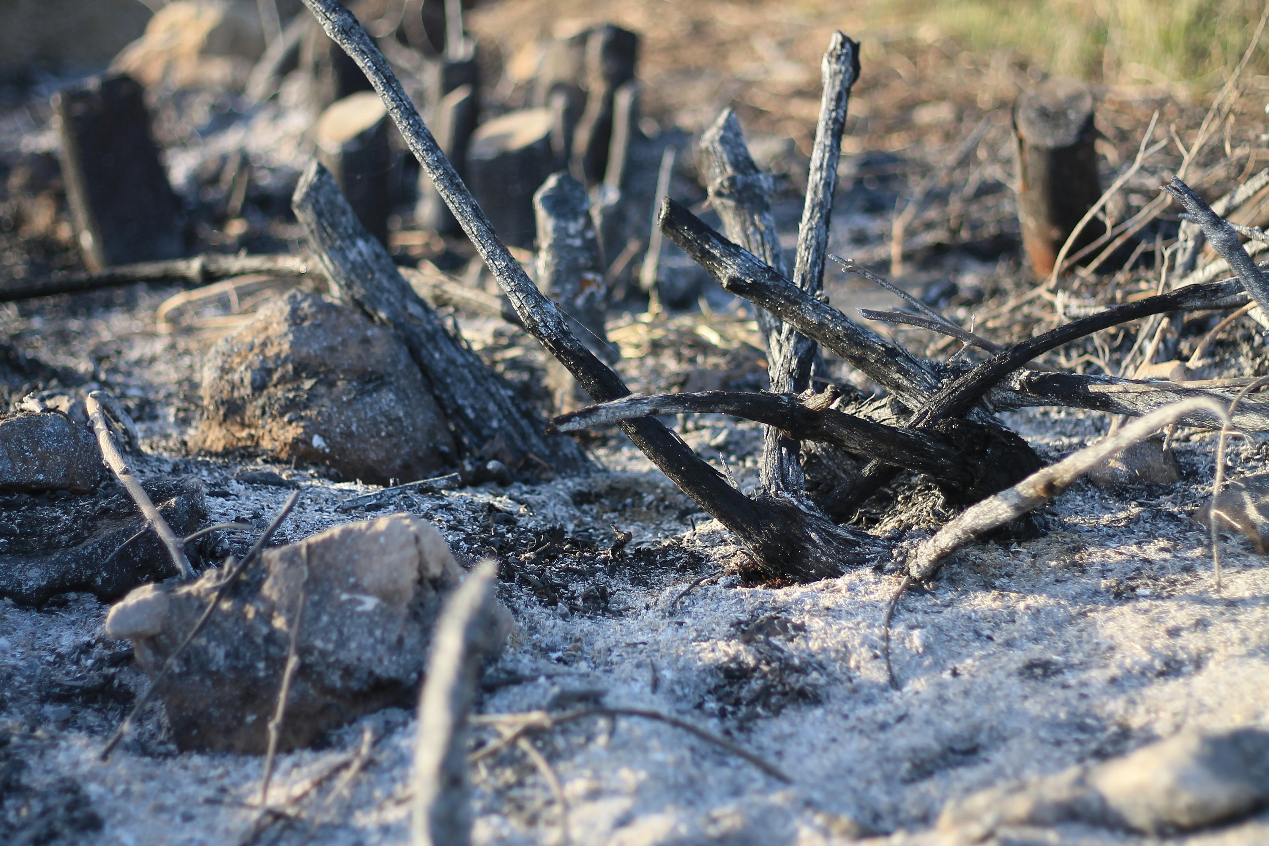 Free Unsplash photo from NAZIM AVCI