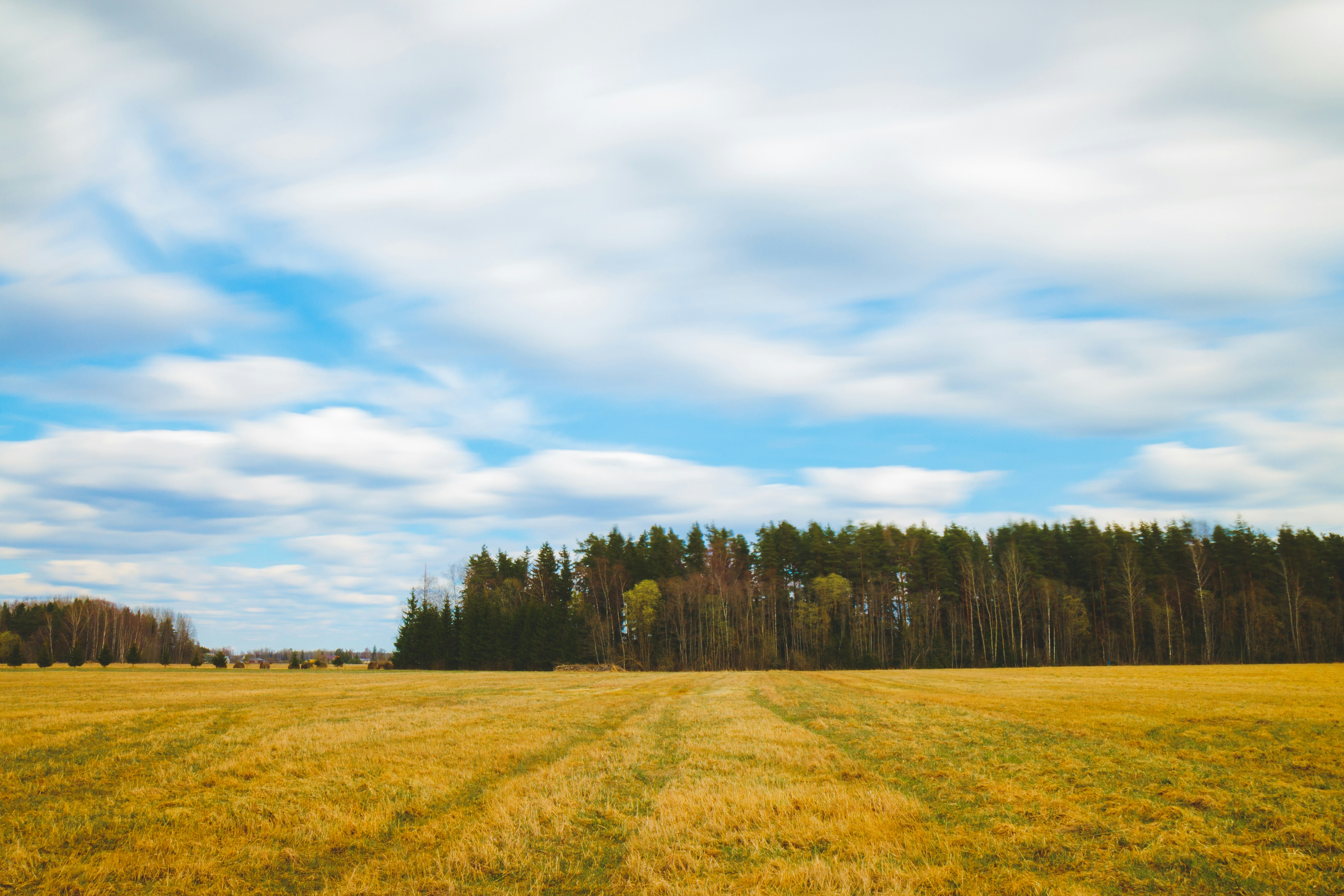 Free Unsplash photo from Aliis Sinisalu