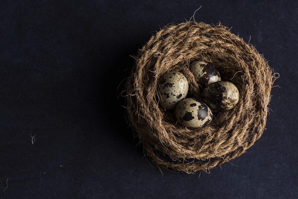 four brown and black egg close-up photography