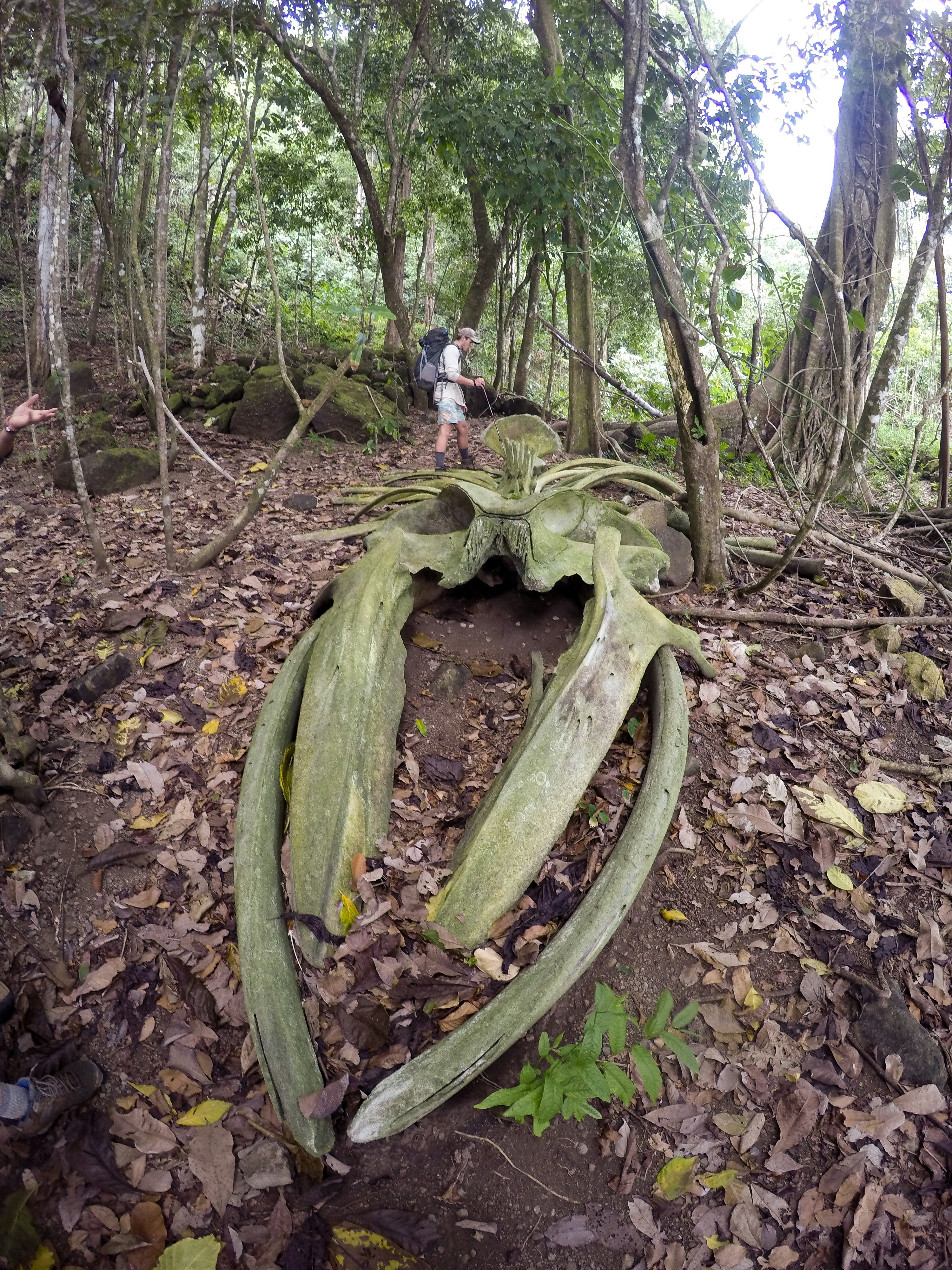 Free Unsplash photo from Ben Spoelhof