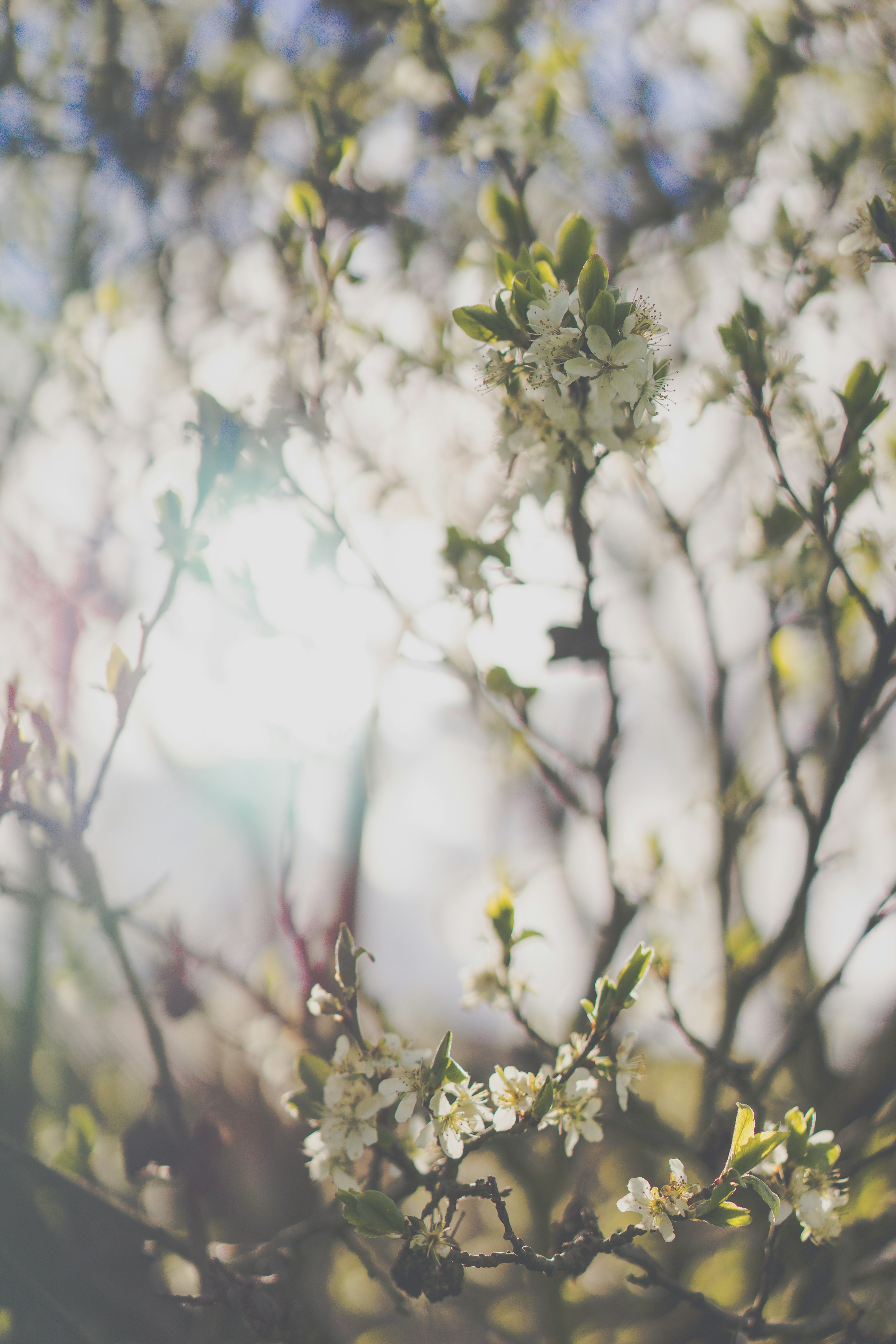 Free Unsplash photo from Matthias Meister