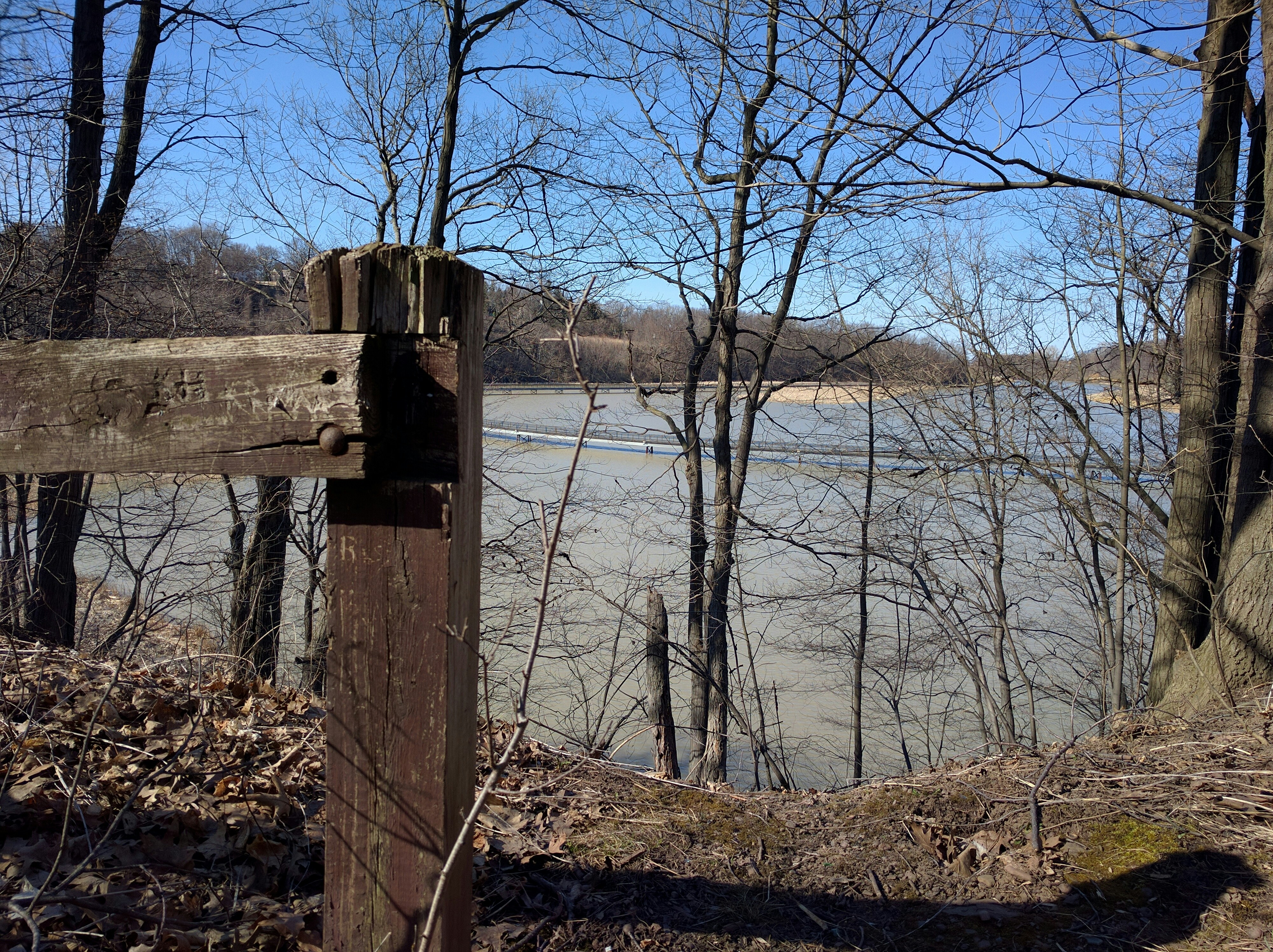 Free Unsplash photo from Saish Menon