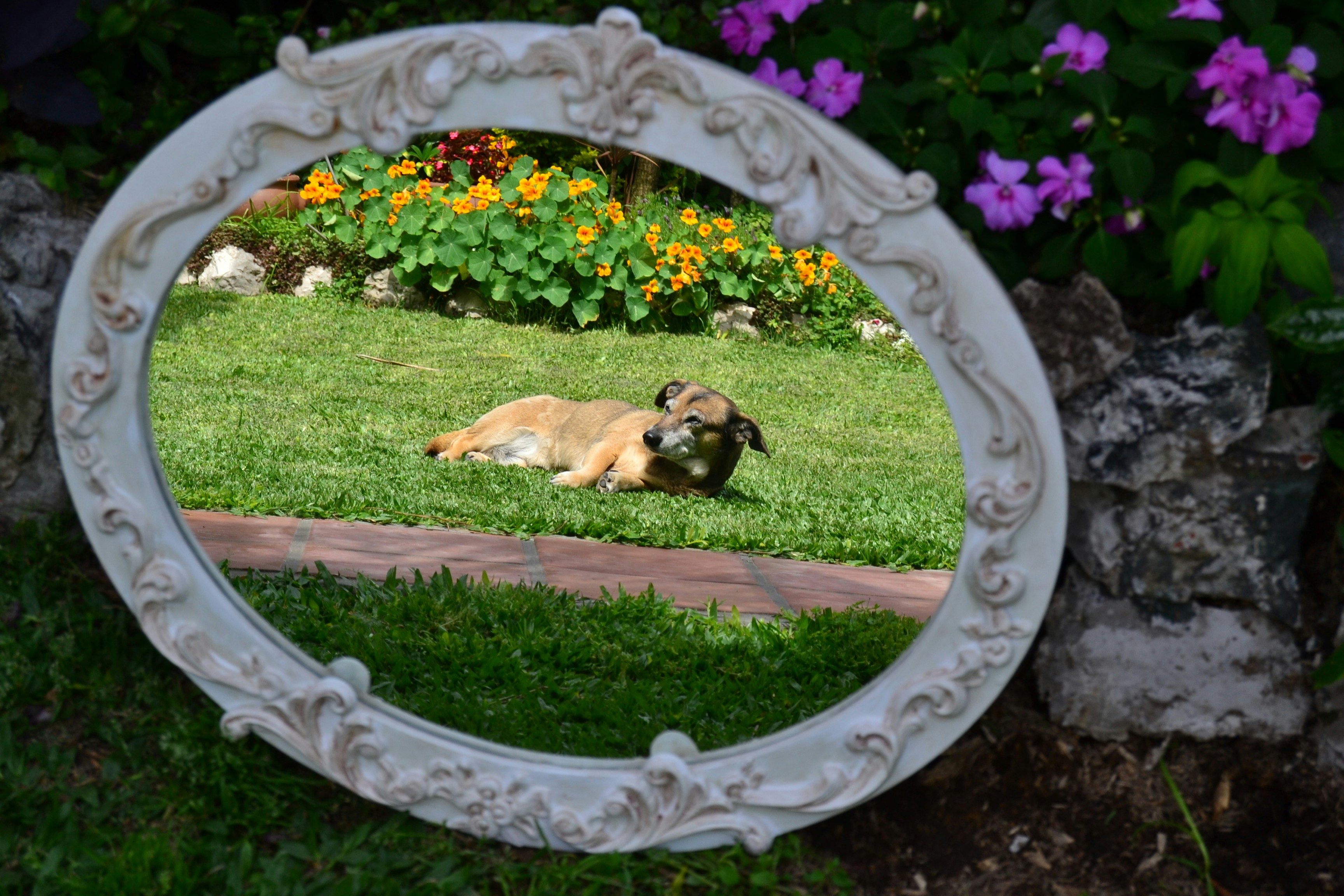 Free Unsplash photo from Nicolás Martin Barroso