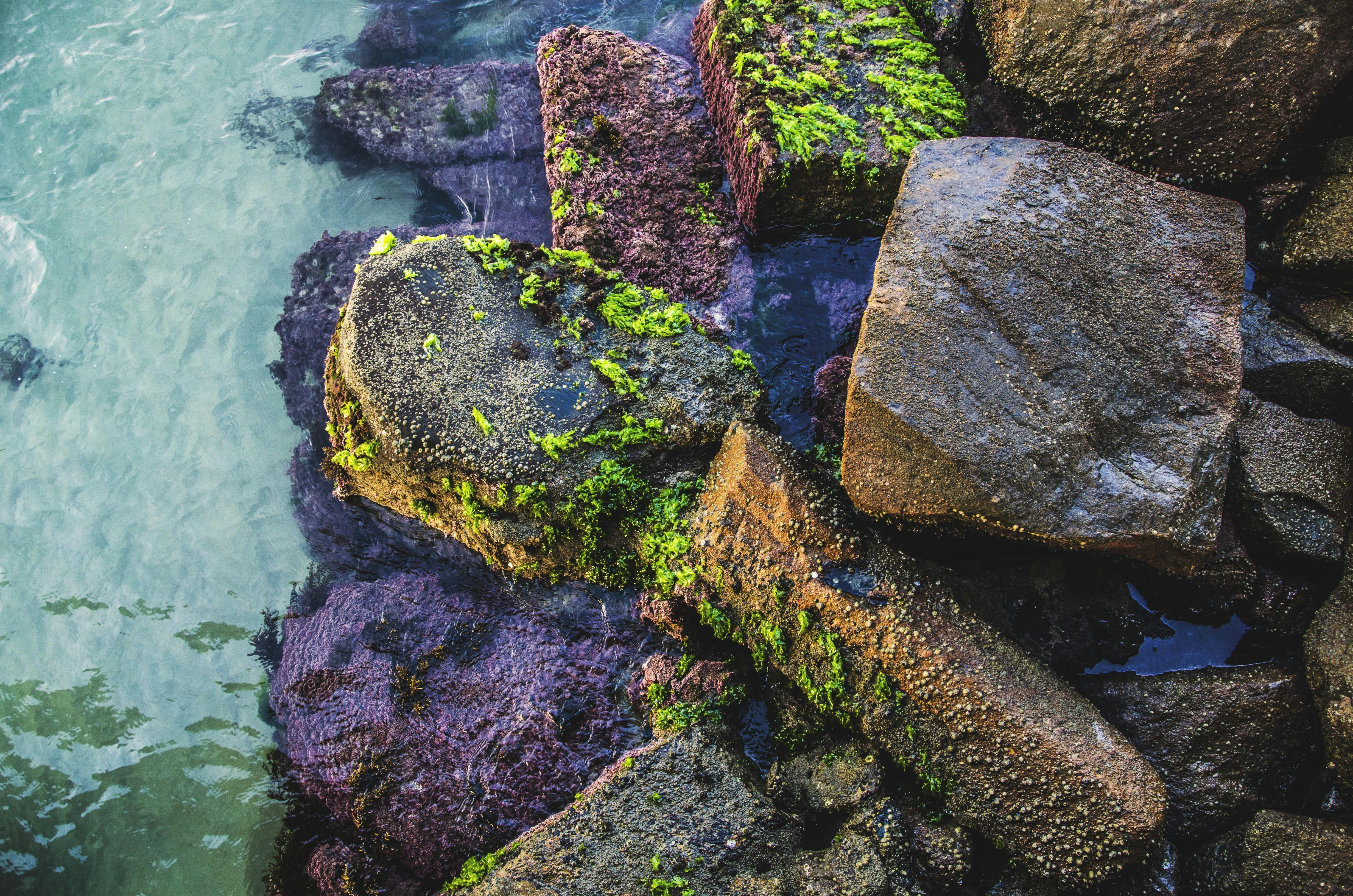 Free Unsplash photo from Camila Boff