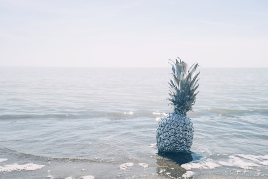 photo of Port Stanley Ocean near Victoria Park