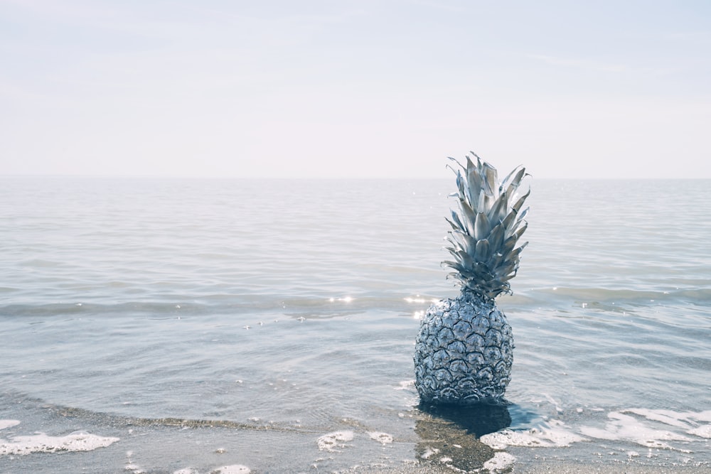 grey pineapple on sea during daytime