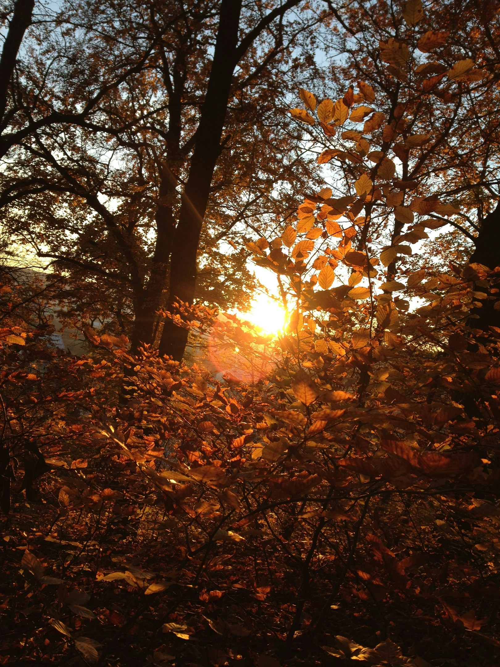 Free Unsplash photo from Oleg Duma